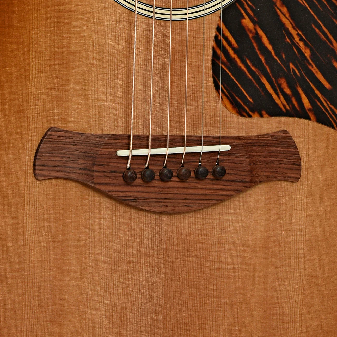 Taylor Gold Label 717e SB Acoustic-Electric Guitar & Case - Image 5