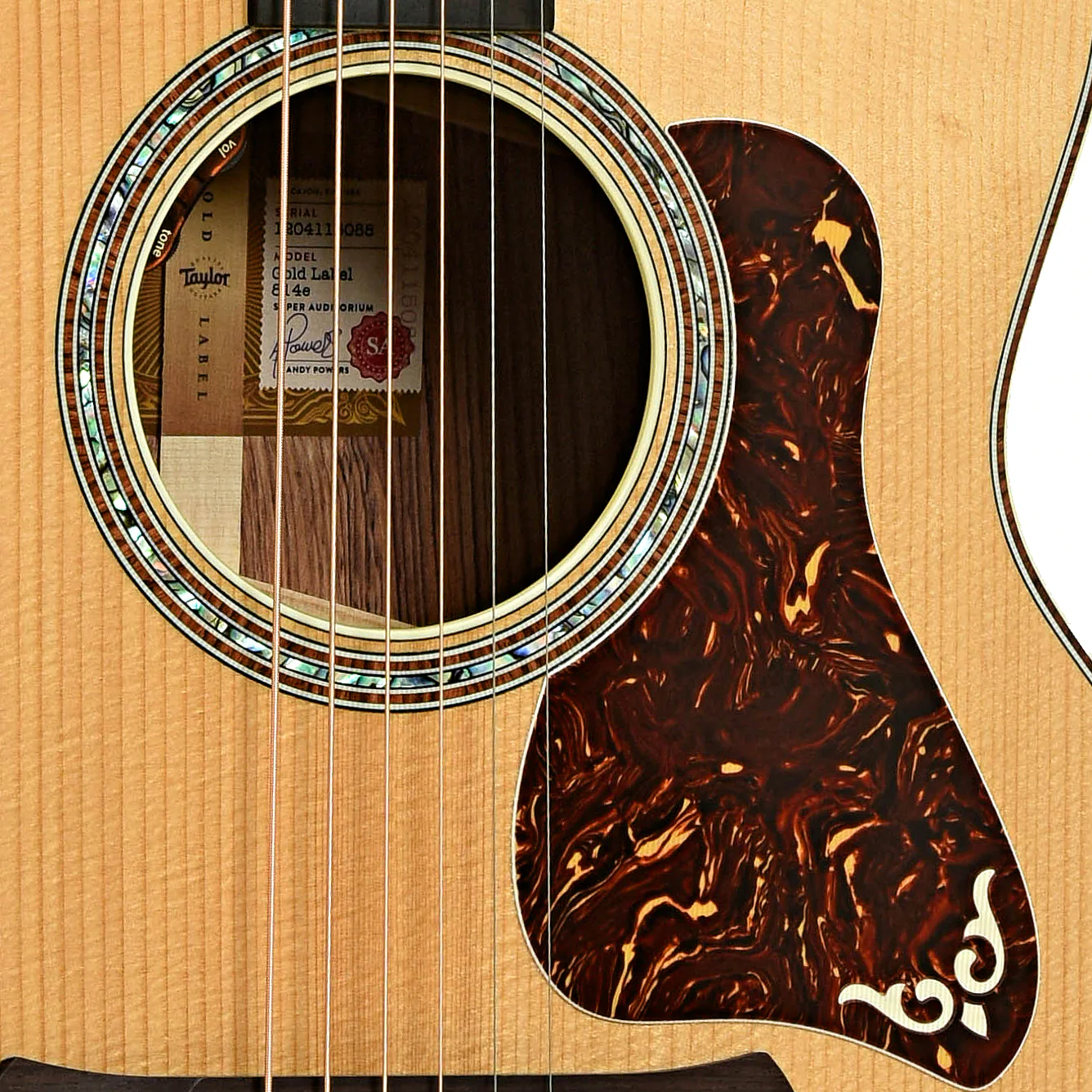 Taylor Gold Label 814e Acoustic-Electric Guitar & Case - Image 6