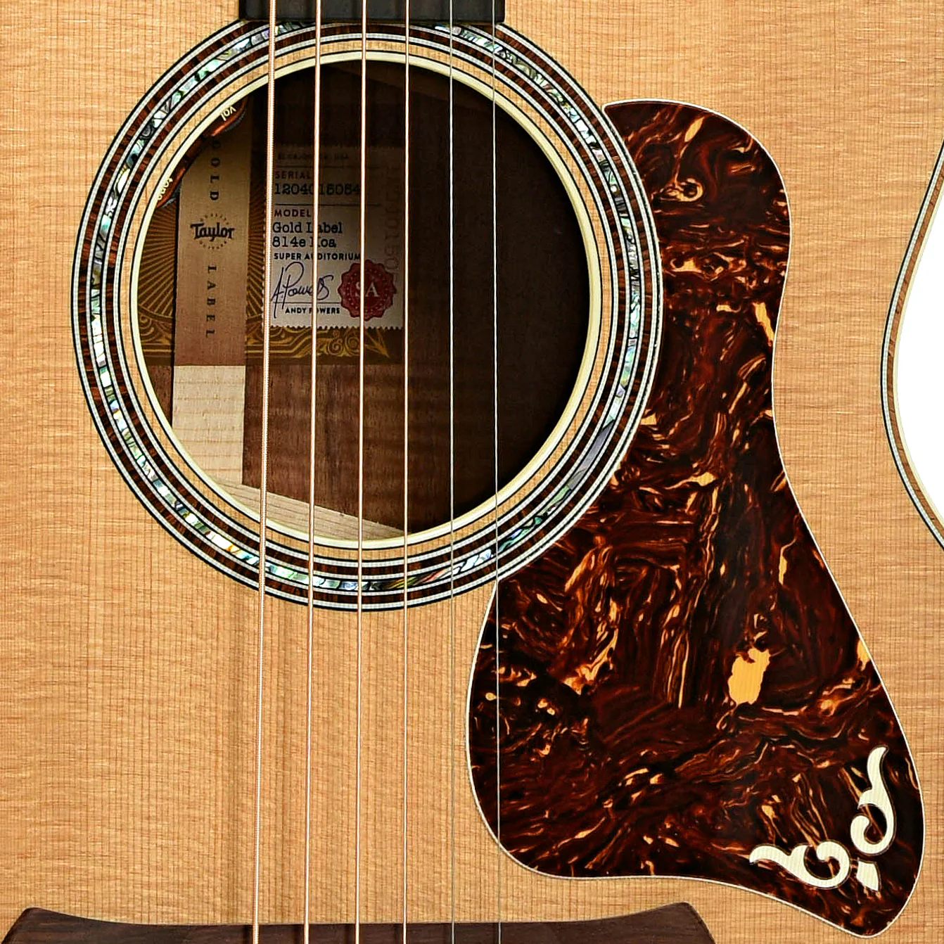 Taylor Gold Label 814e Koa Acoustic-Electric Guitar & Case - Image 6