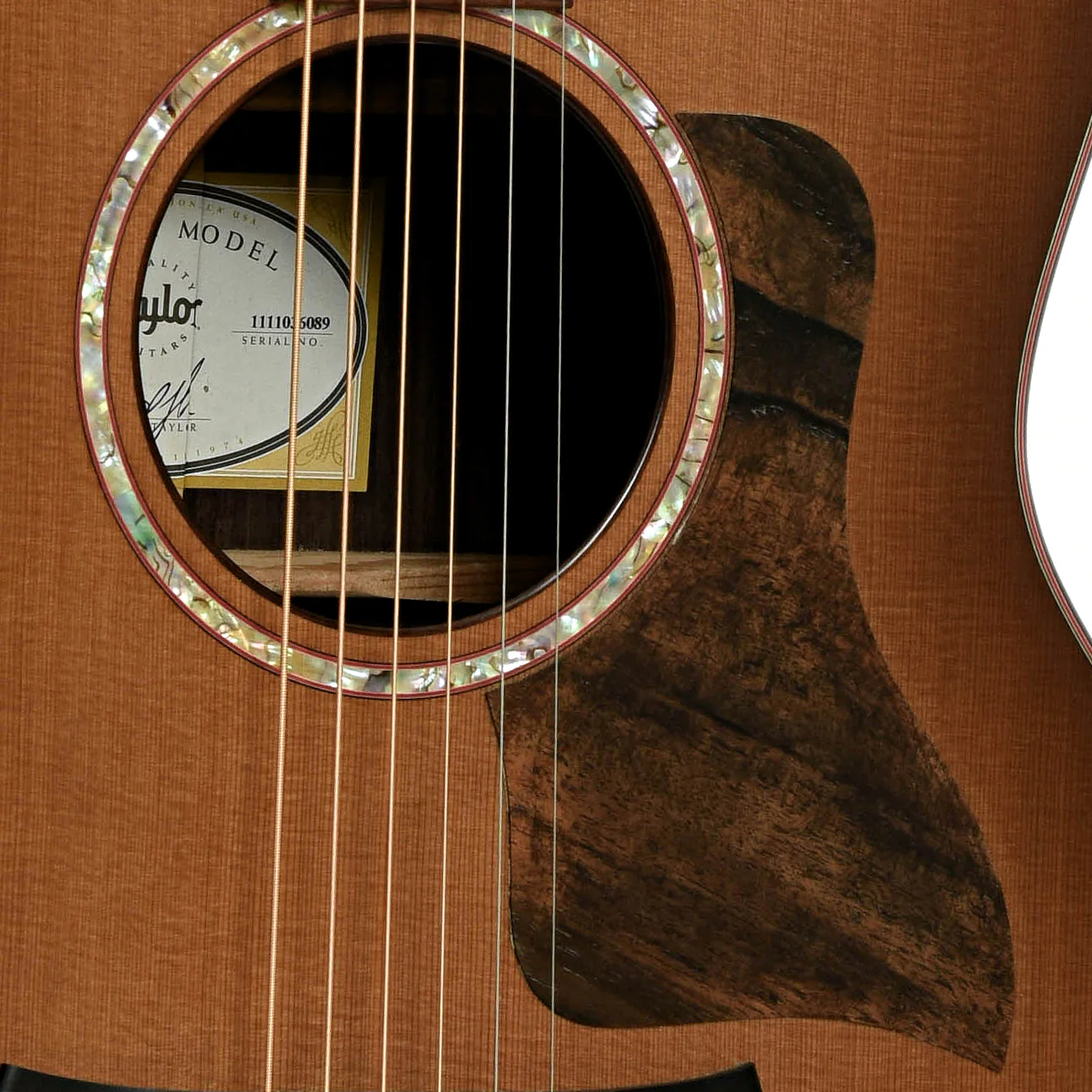 Taylor GS Custom Acoustic Guitar (2016) - Image 6
