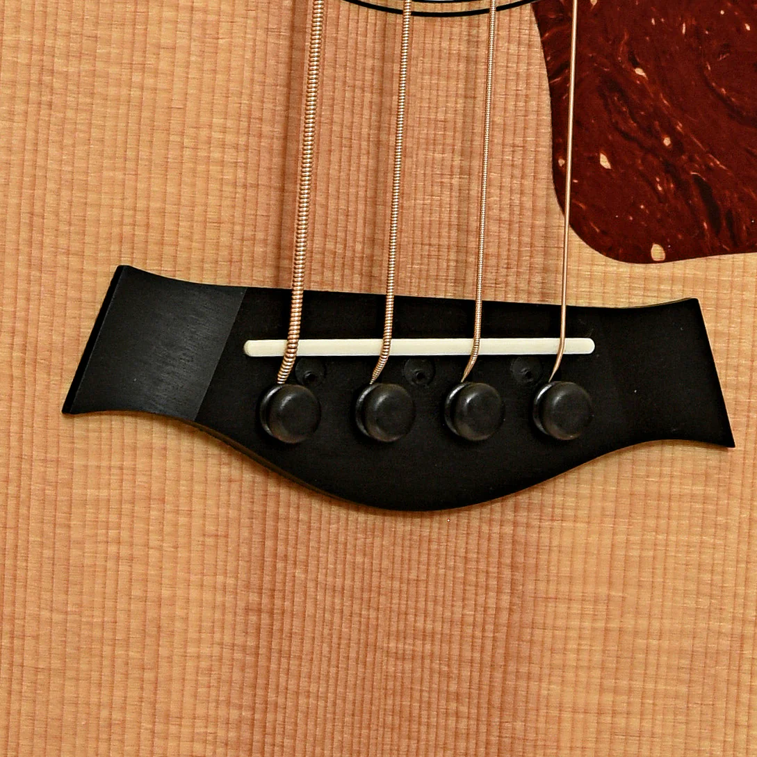 Taylor GS Mini-e Acoustic-Electric Bass (2017) - Image 5