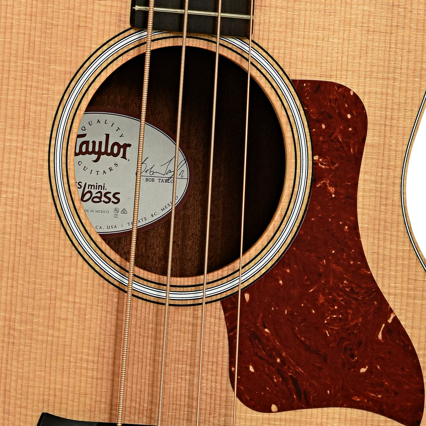 Taylor GS Mini-e Acoustic-Electric Bass (2017) - Image 6