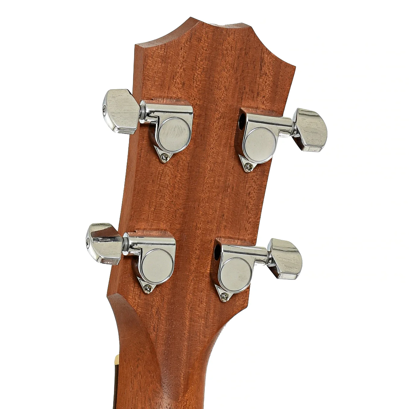 Taylor GS Mini-e Acoustic-Electric Bass (2017) - Image 9
