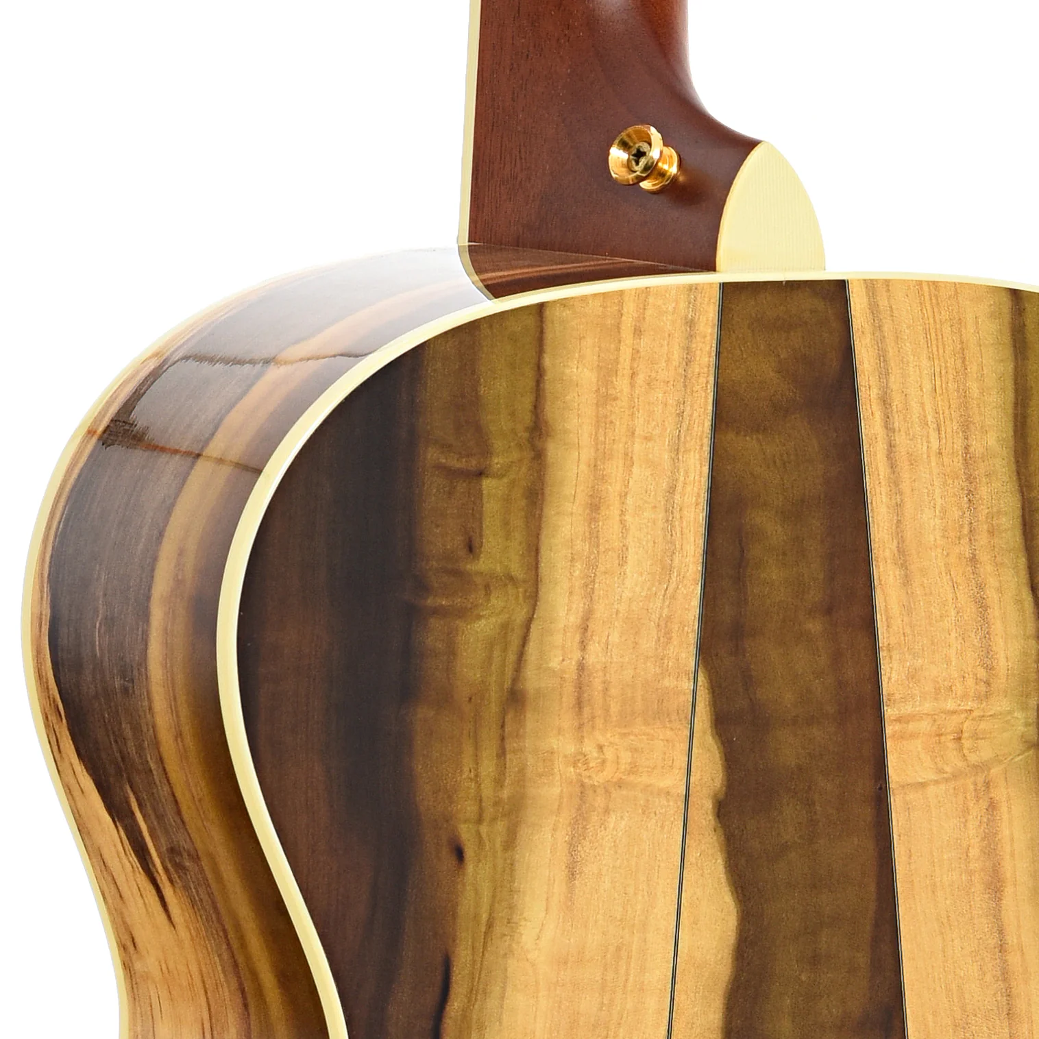 Taylor LTG Liberty Tree Acoustic Guitar (2002) - Image 10
