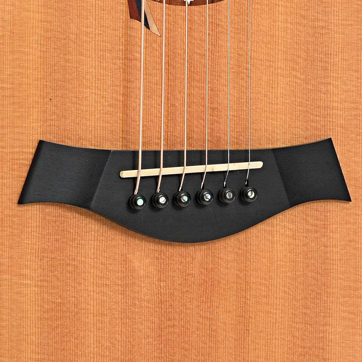 Taylor LTG Liberty Tree Acoustic Guitar (2002) - Image 5