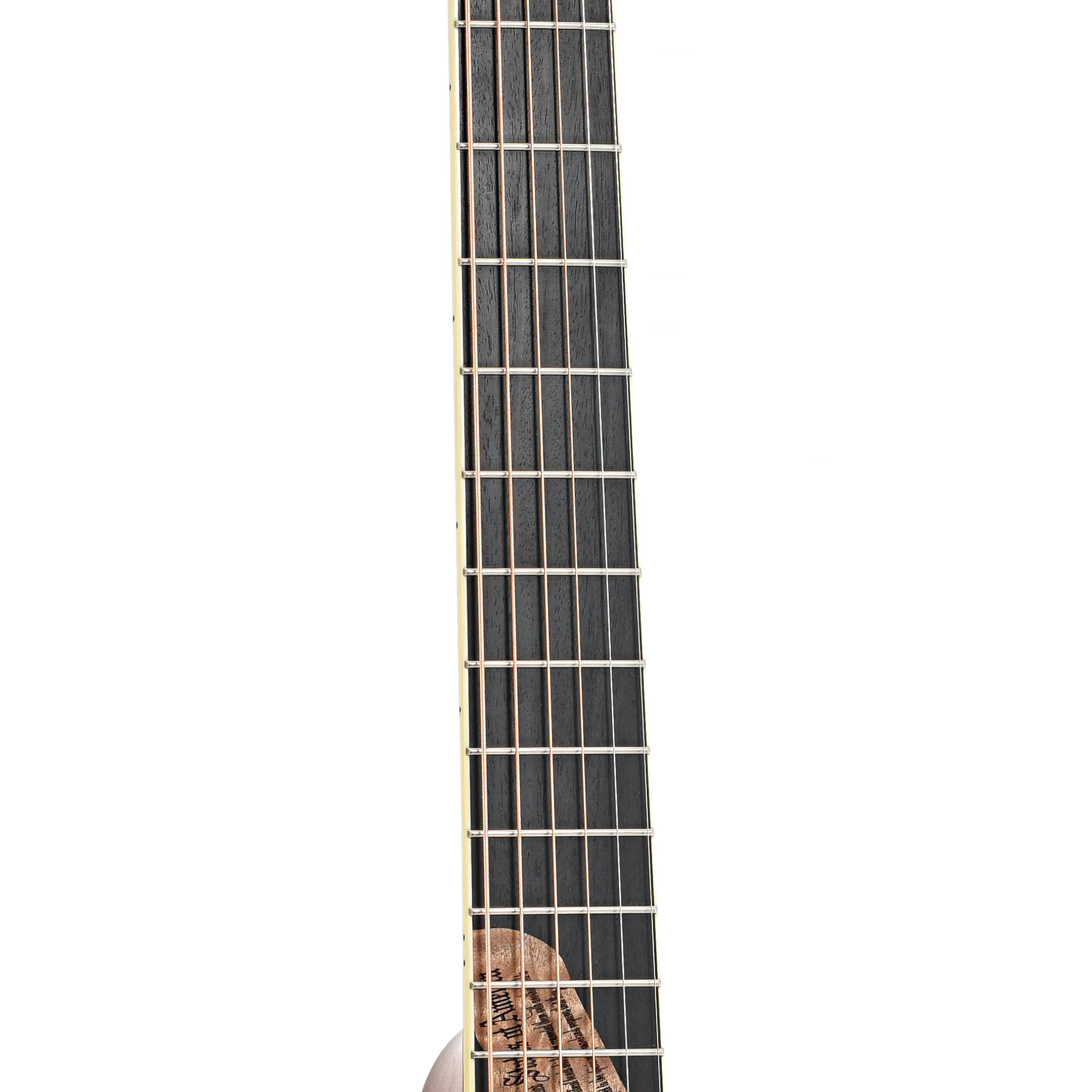 Taylor LTG Liberty Tree Acoustic Guitar (2002) - Image 7
