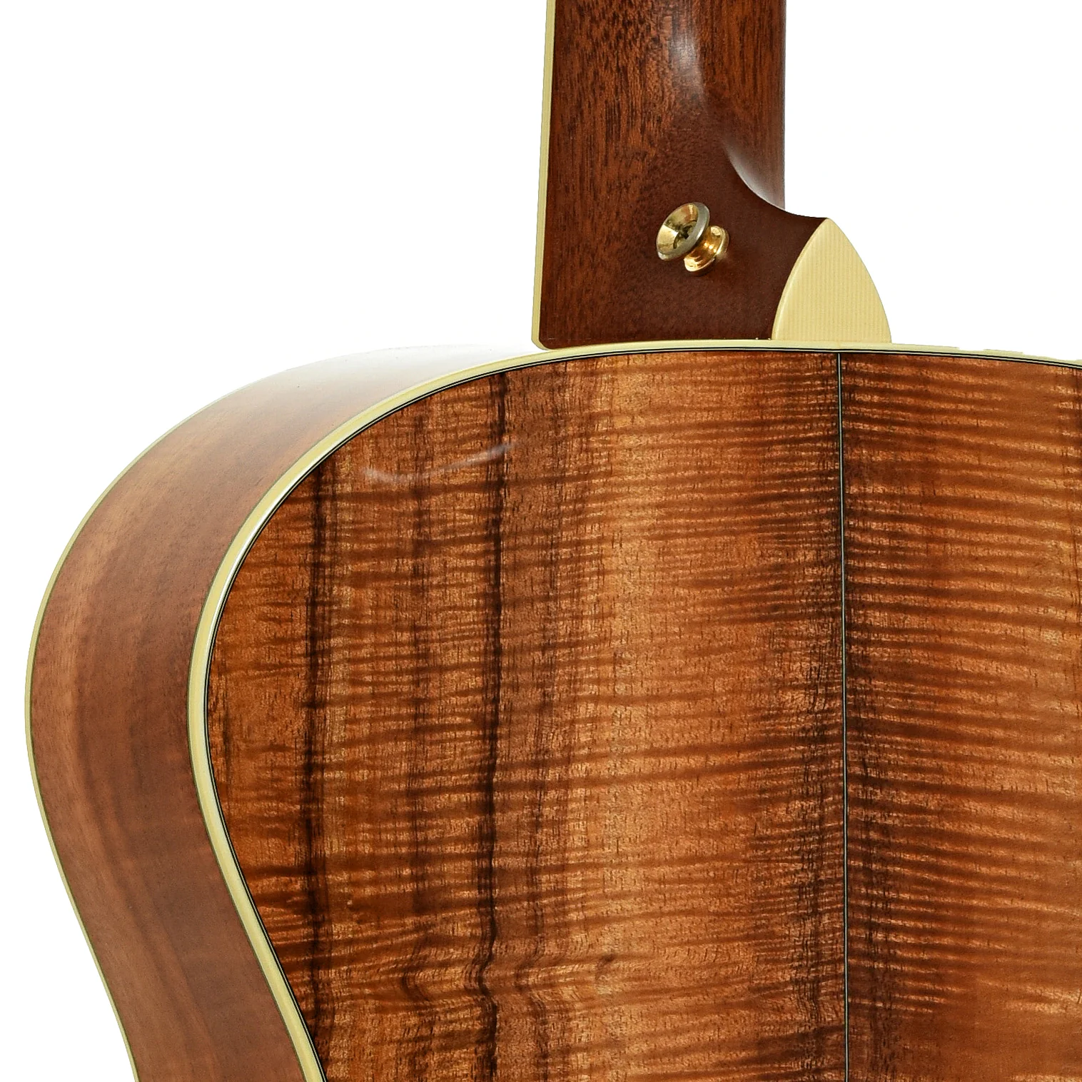 Taylor XXX-KE 30th Anniversary Acoustic Guitar (2004) - Image 10