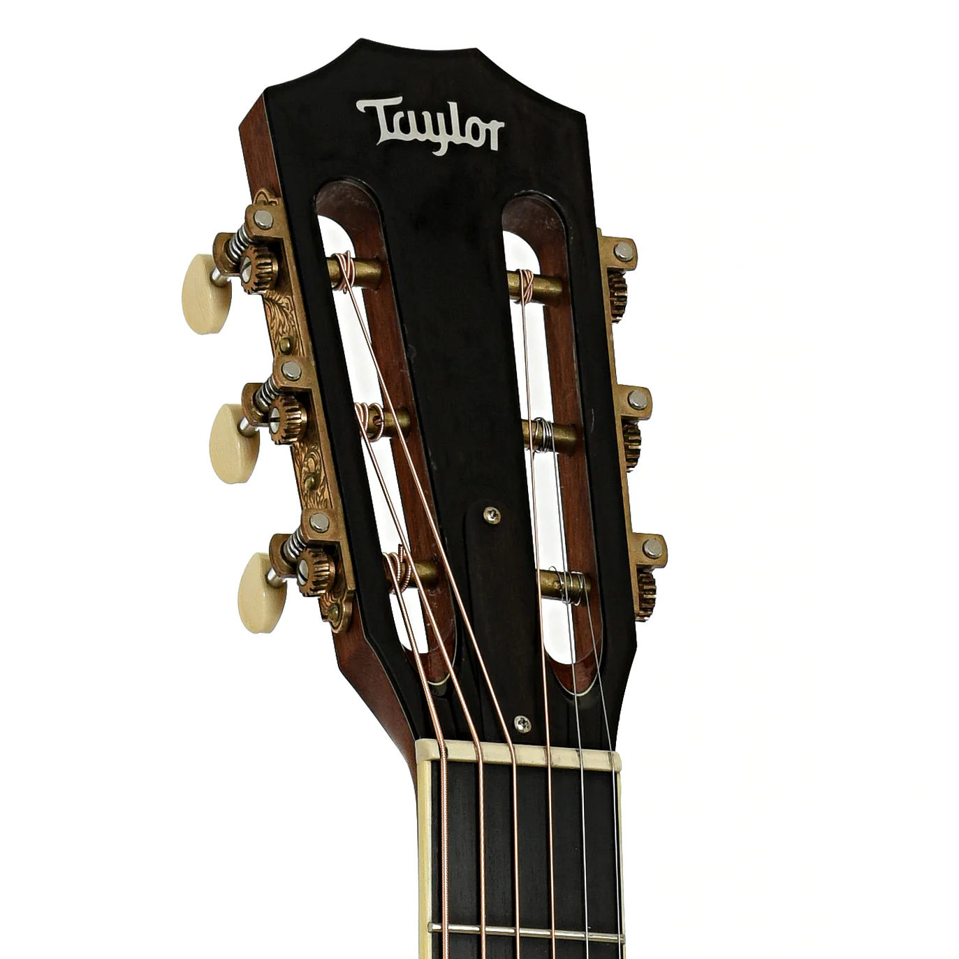Taylor XXX-KE 30th Anniversary Acoustic Guitar (2004) - Image 8