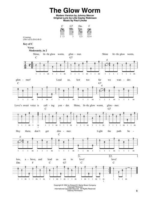 The Great American Banjo Songbook - Image 5
