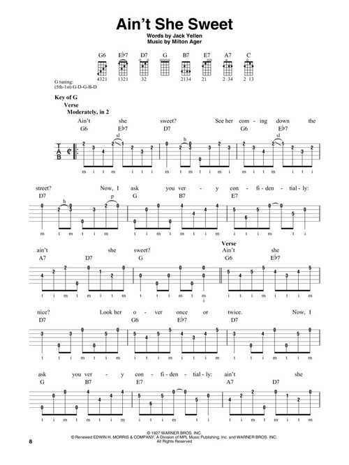 The Great American Banjo Songbook - Image 7