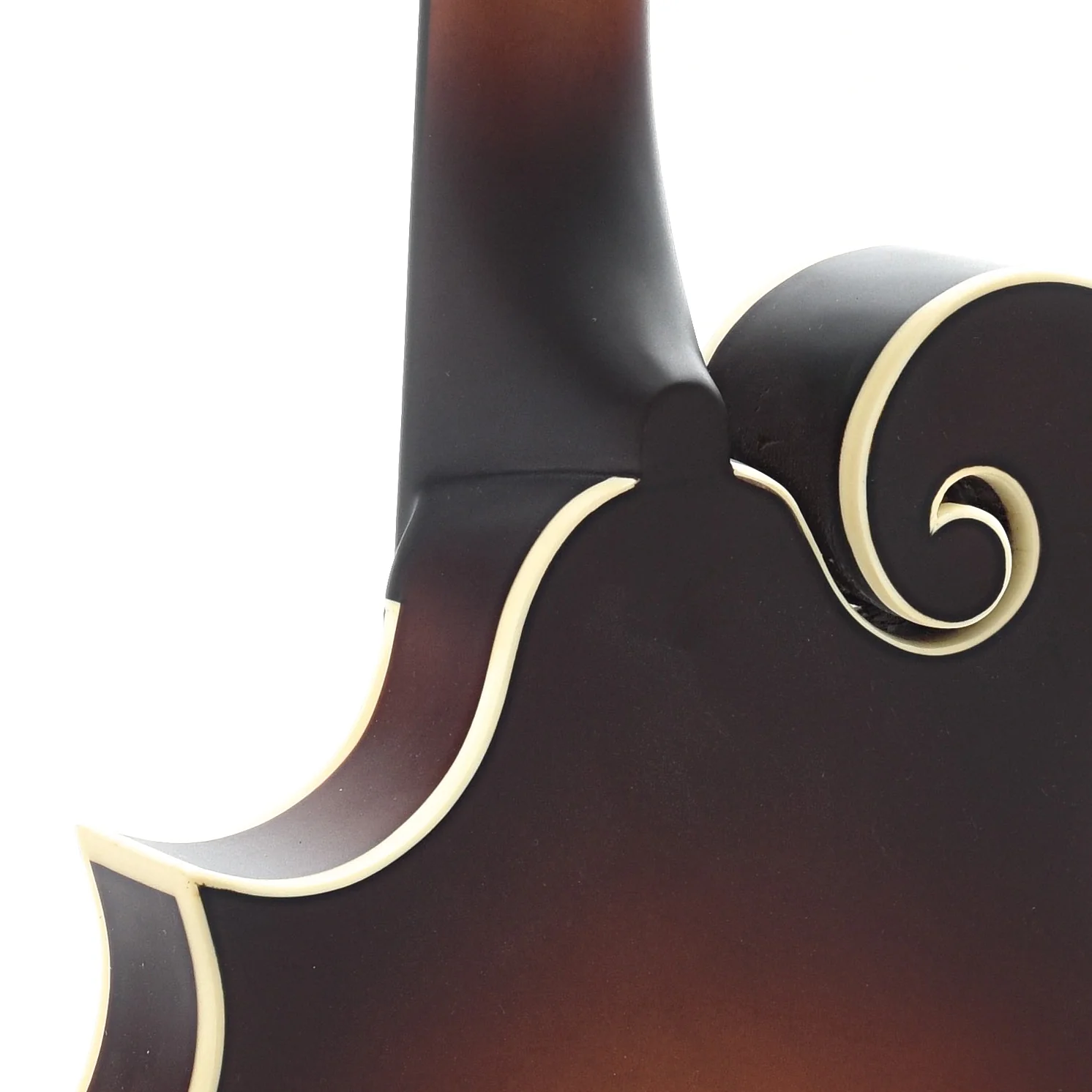 The Loar "Honey Creek" F-Style Mandolin - Image 10