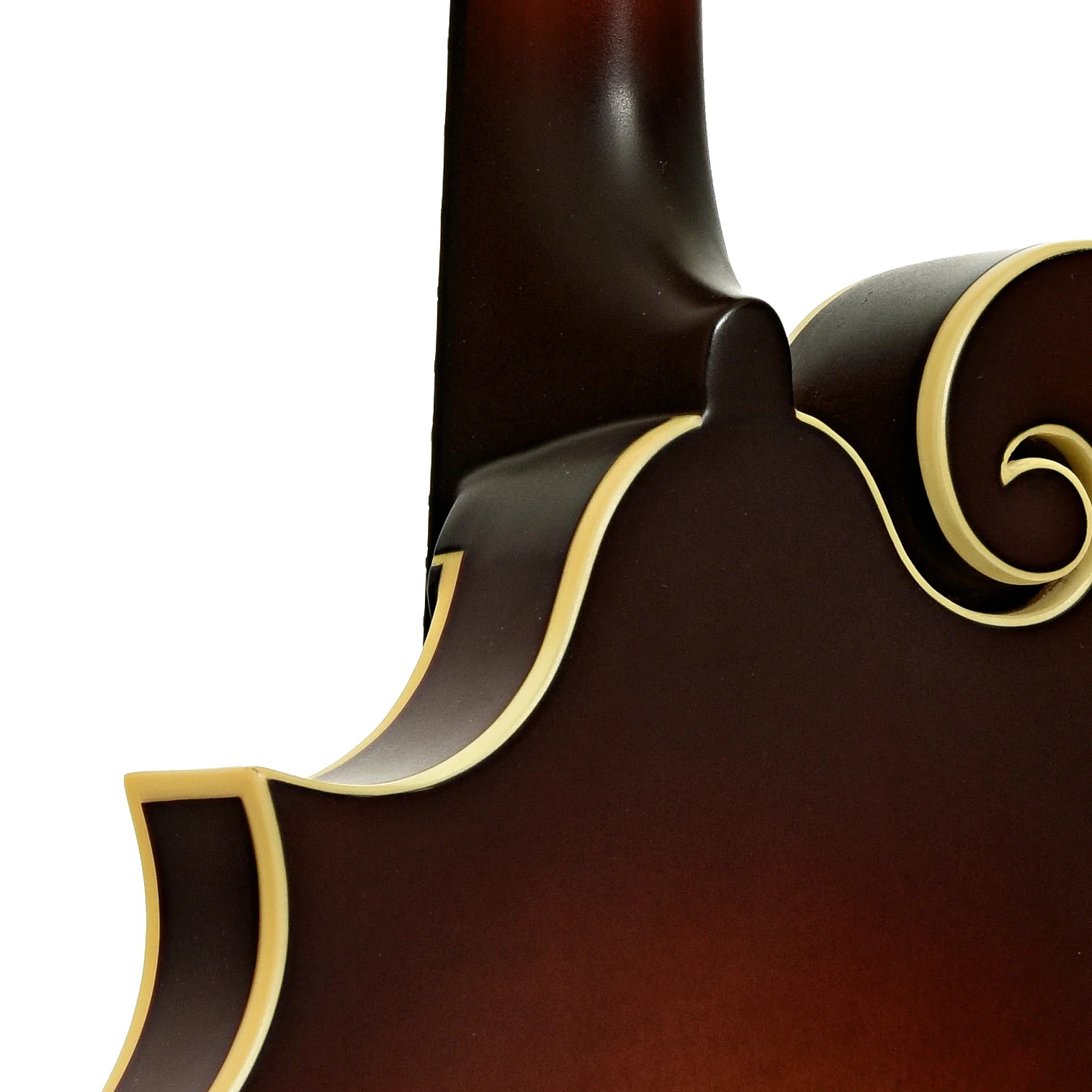 The Loar LM-310F Honey Creek F-Style Mandolin (2022) - Image 10