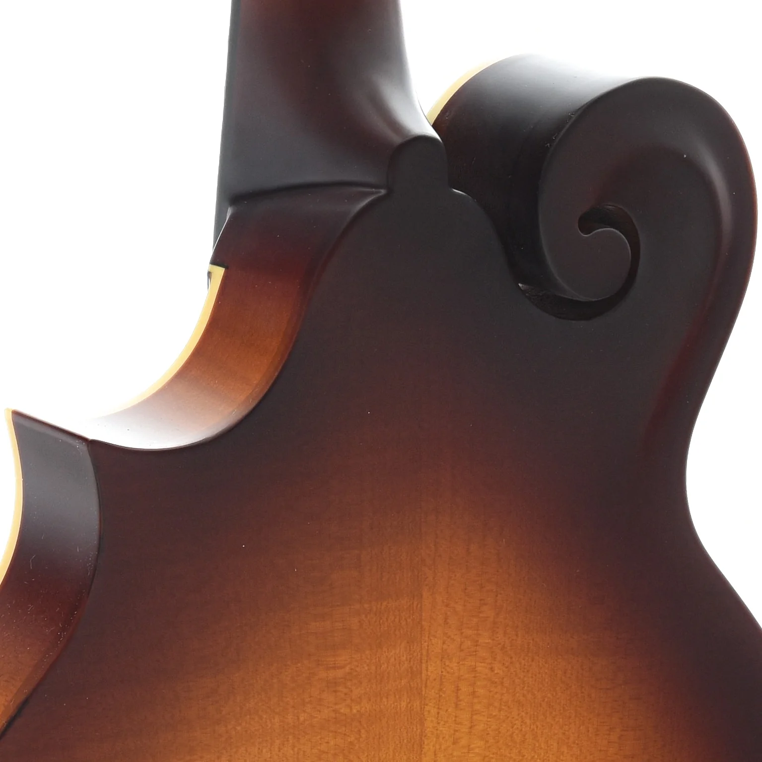 The Loar LM-590-MS Mandolin - Image 10