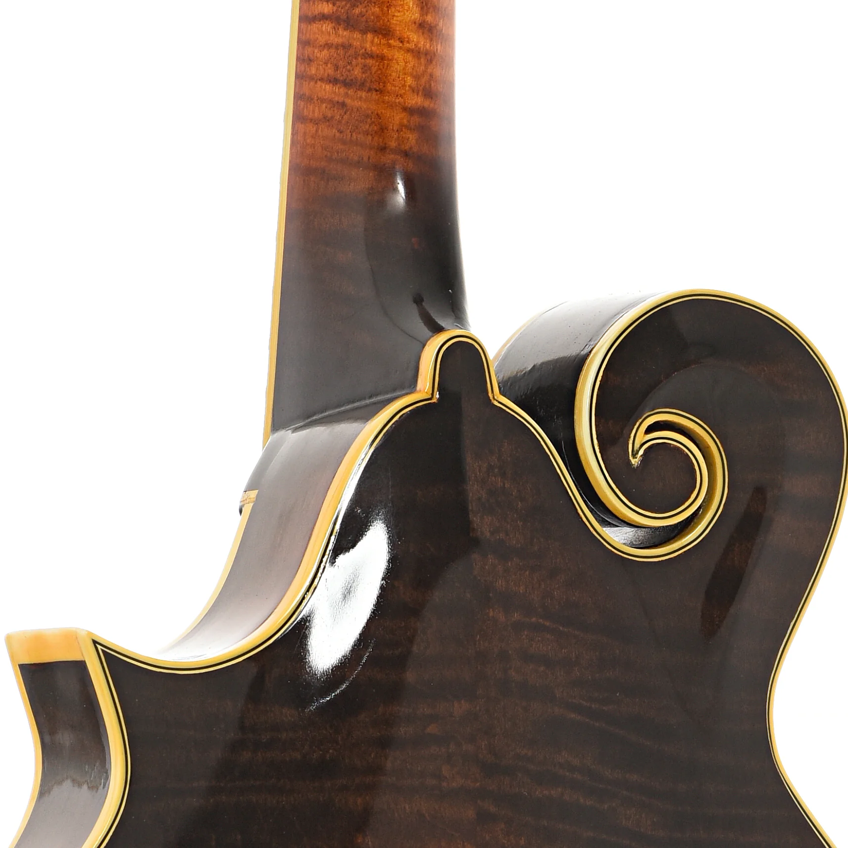Skip Kelley F-5 Mandolin (2013) - Image 10