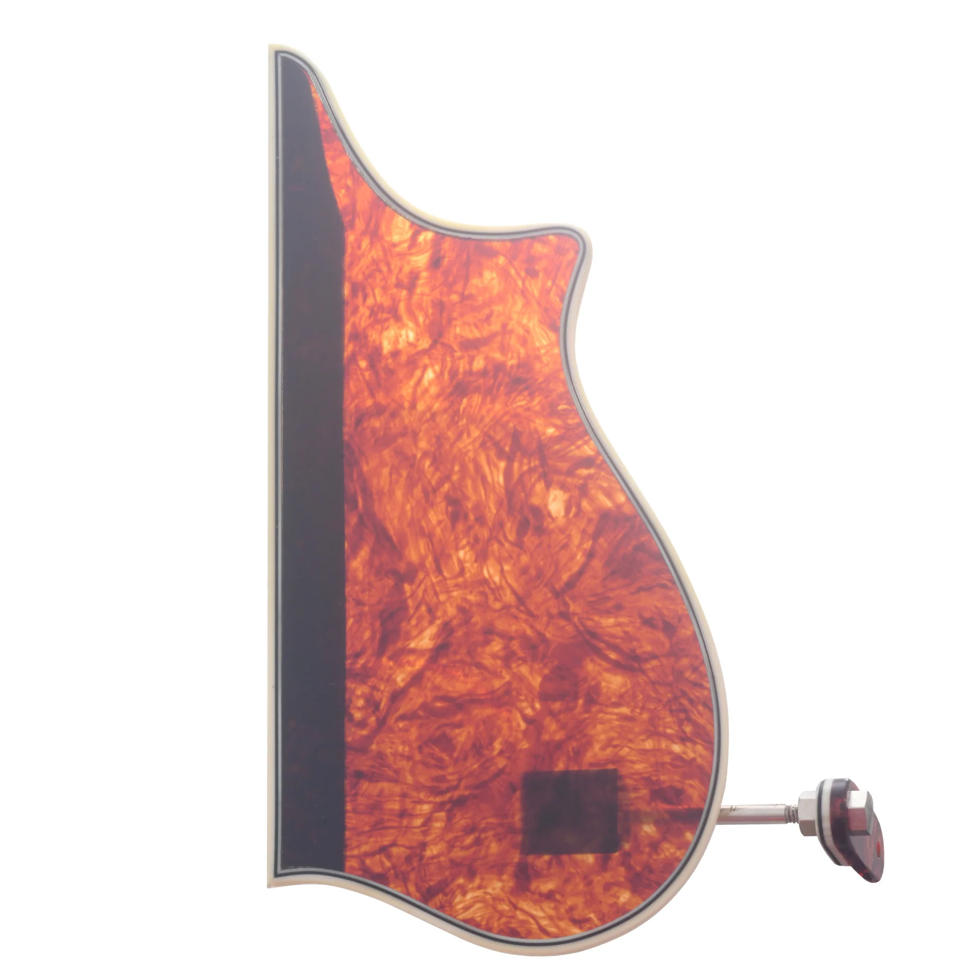 Tortoise Mandolin Pickguard, F-Model, Large, Bound - Image 2