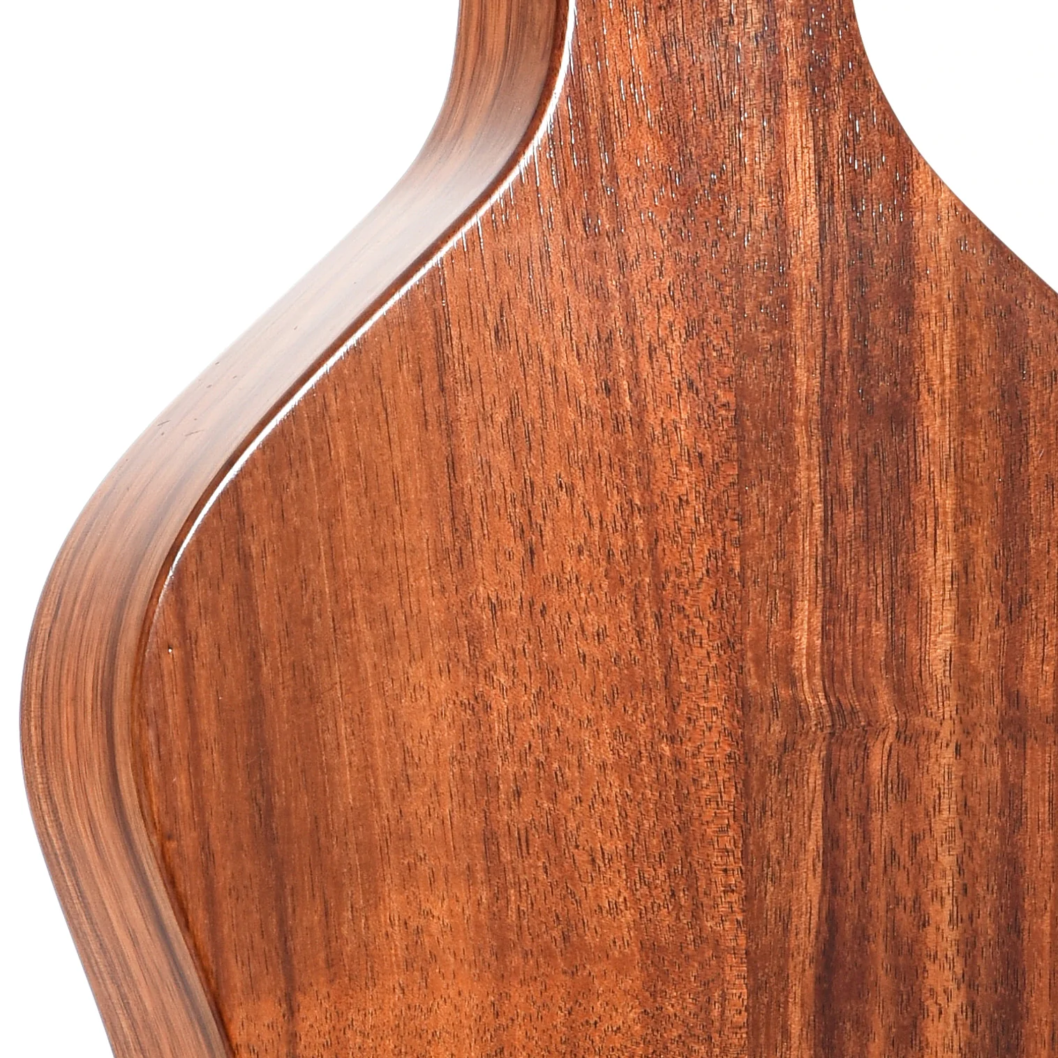 Traditional American Acoustics Style 1 Hawaiian Guitar (2023) - Image 10