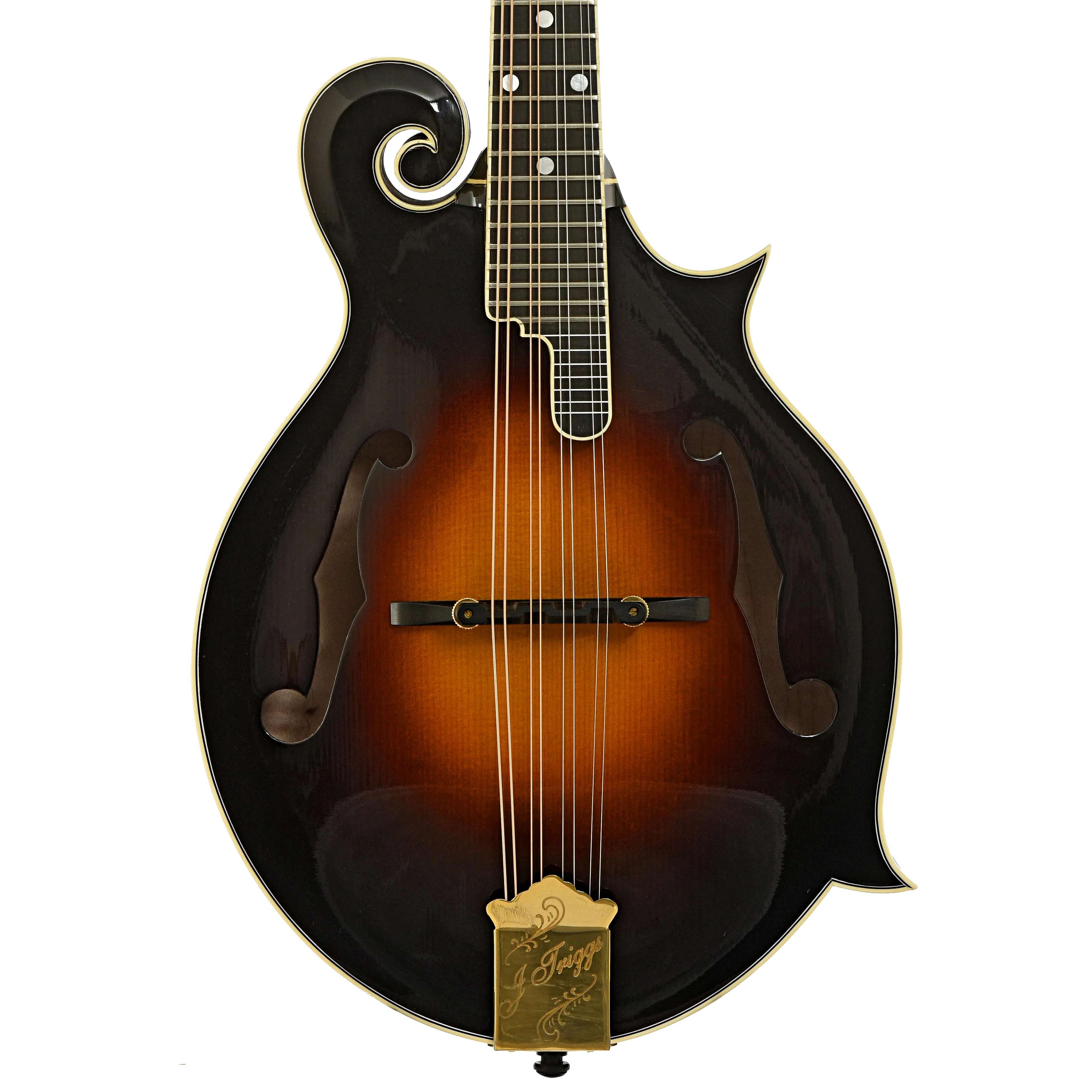 Triggs F-5 Mandolin (2015) - Image 2