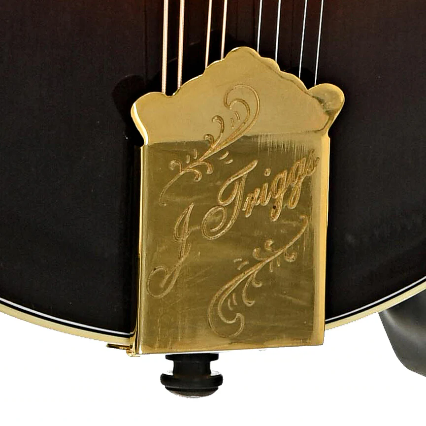 Triggs F-5 Mandolin (2015) - Image 5