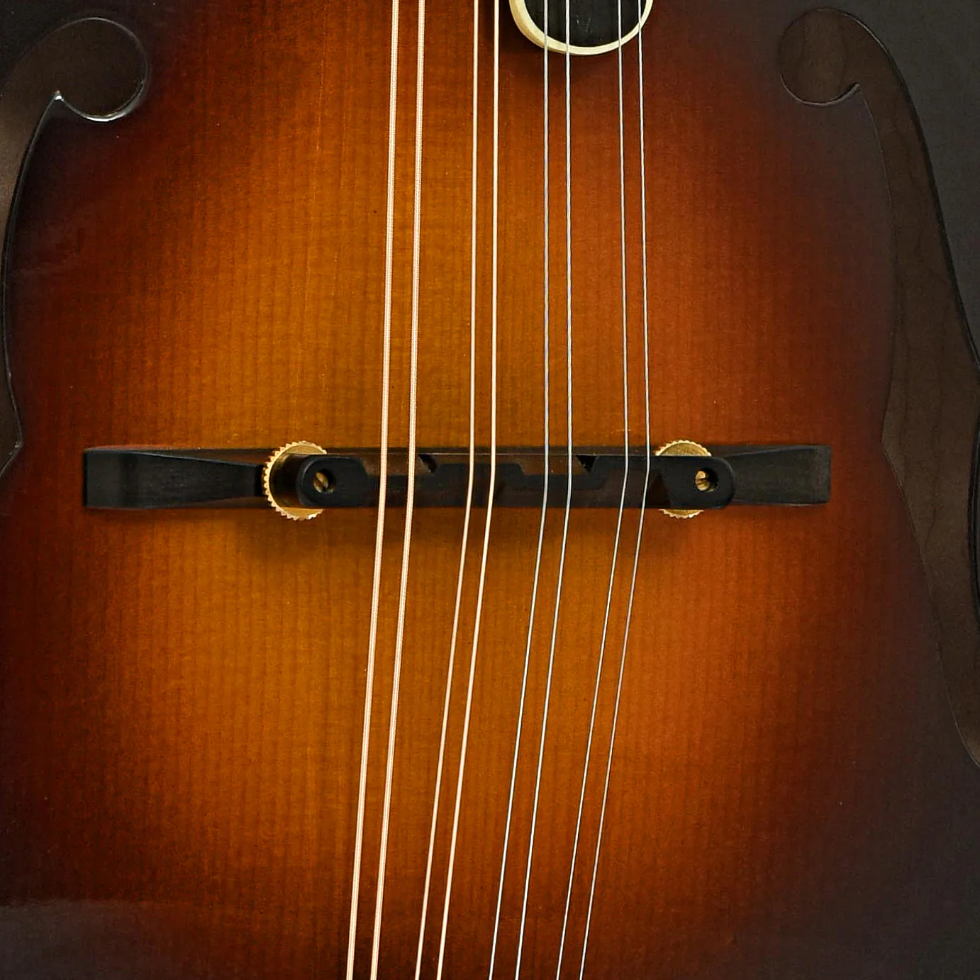 Triggs F-5 Mandolin (2015) - Image 6