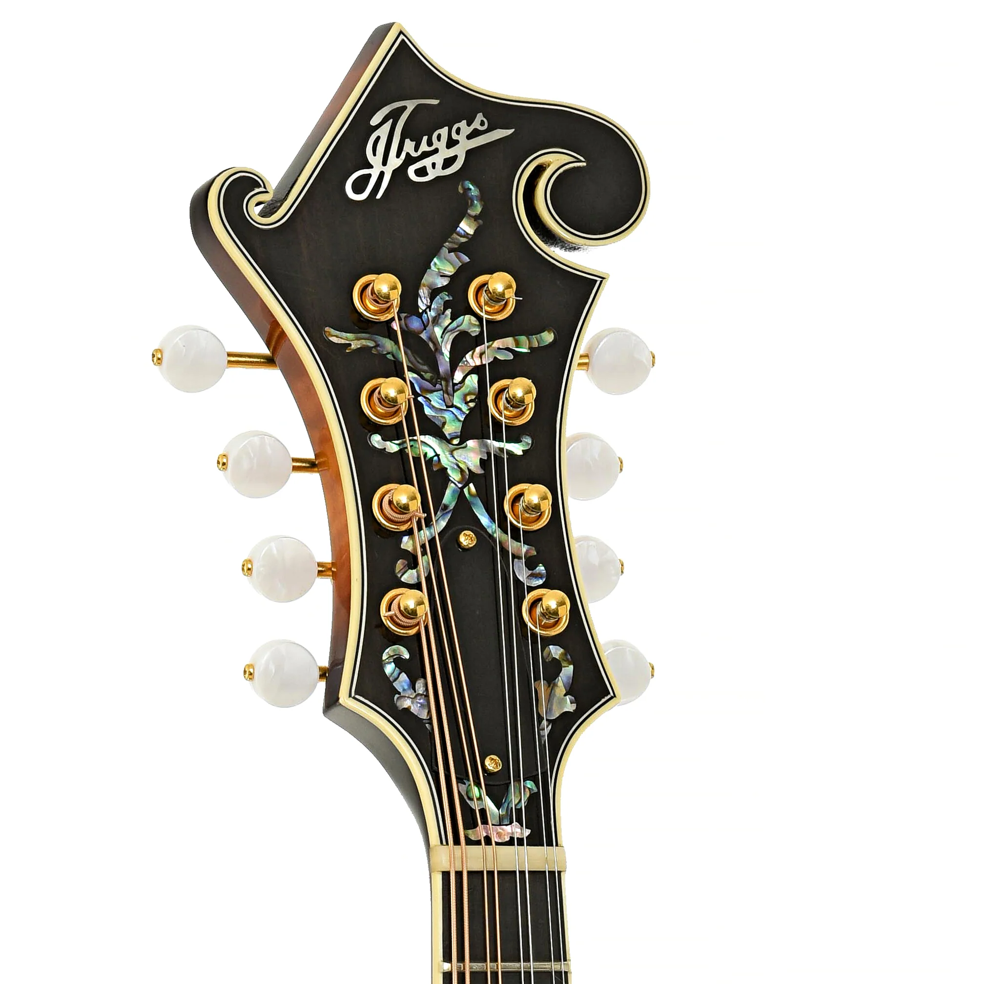 Triggs F-5 Mandolin (2015) - Image 8