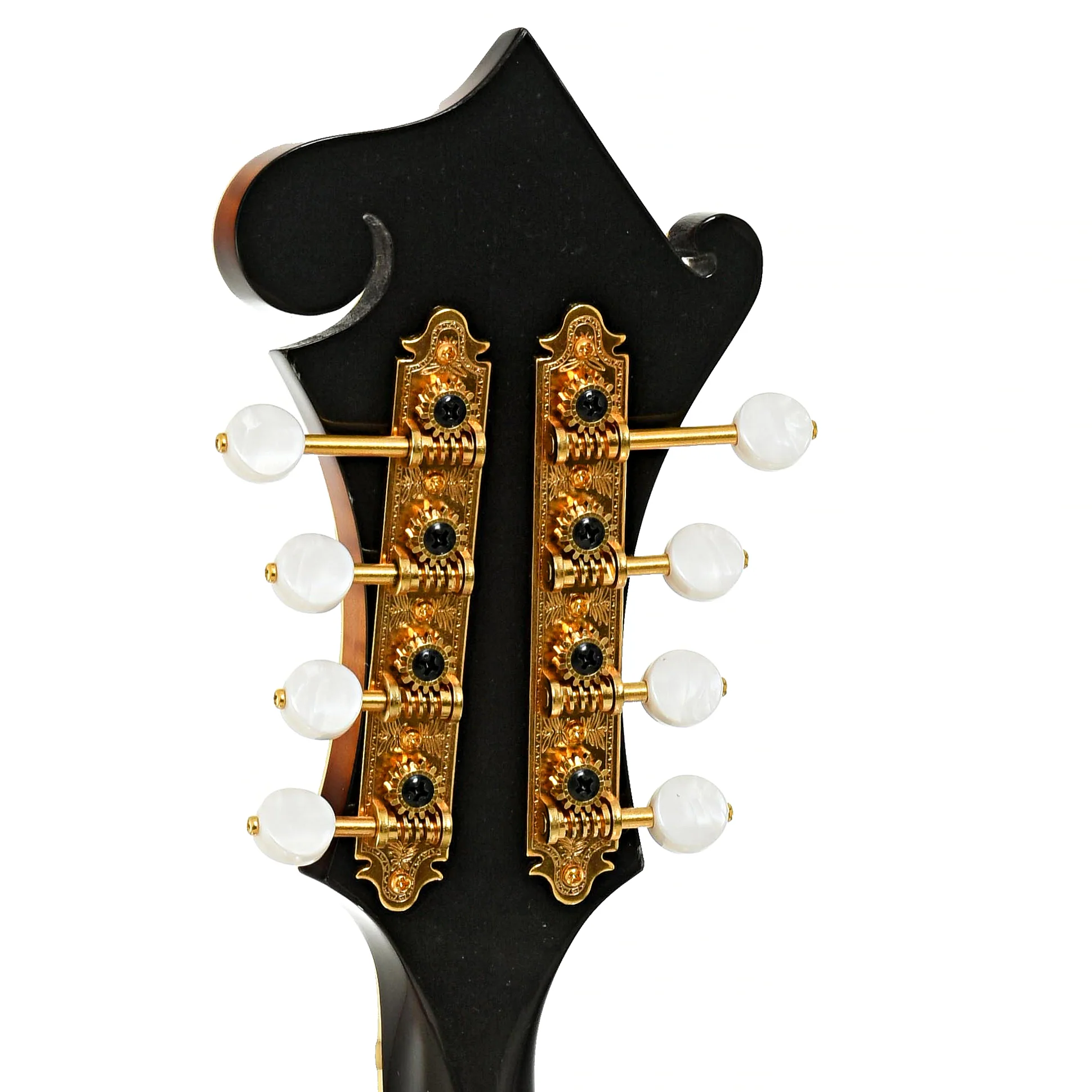Triggs F-5 Mandolin (2015) - Image 9