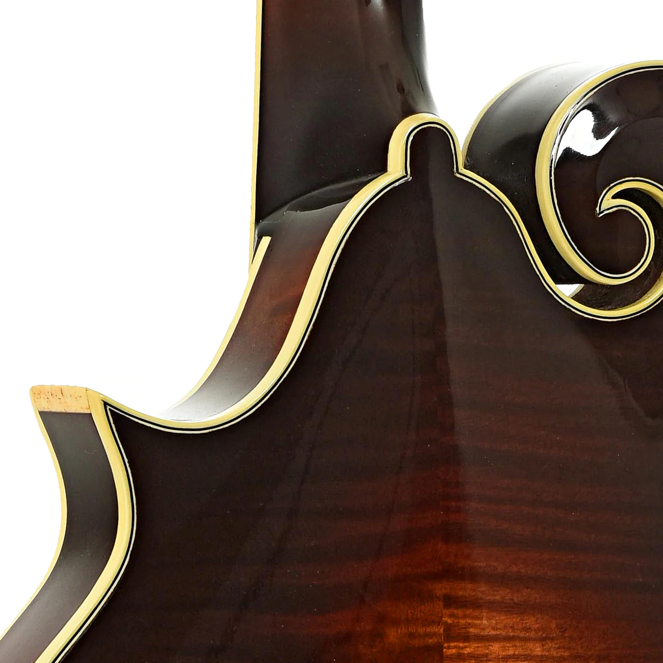 Triggs H-5 Mandola (2023) - Image 10