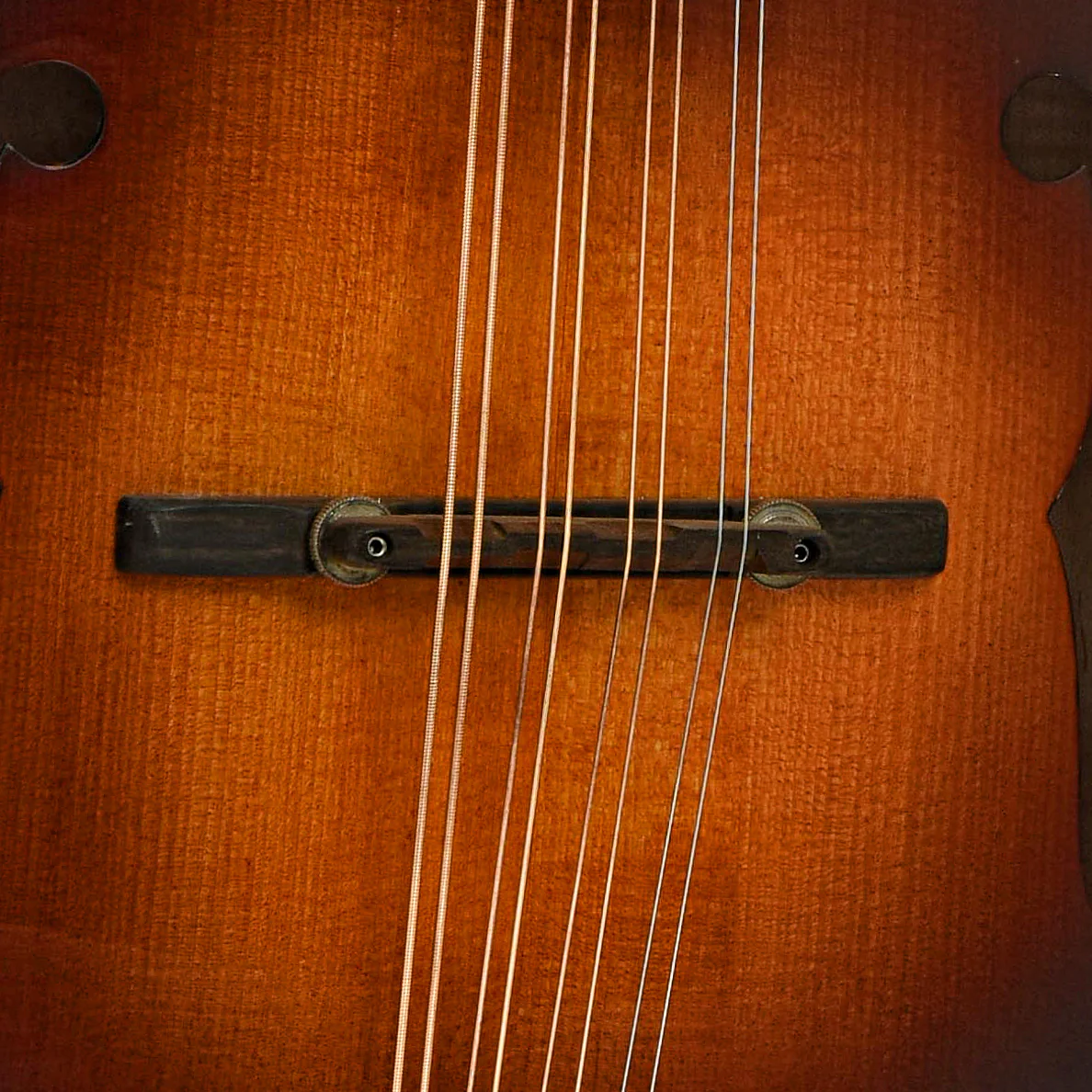 Triggs H-5 Mandola (2023) - Image 6