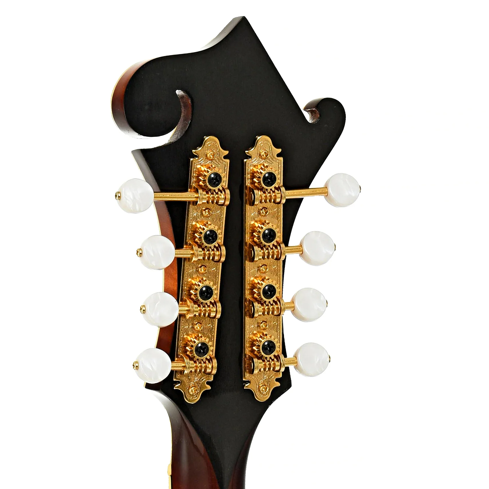 Triggs H-5 Mandola (2023) - Image 9