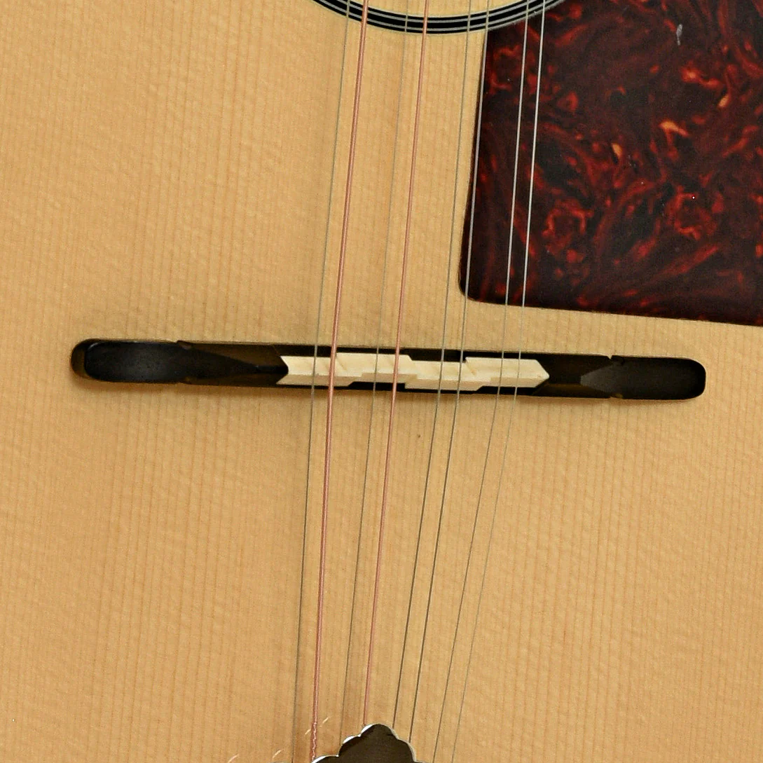 Trinity College Bouzouki - Image 5