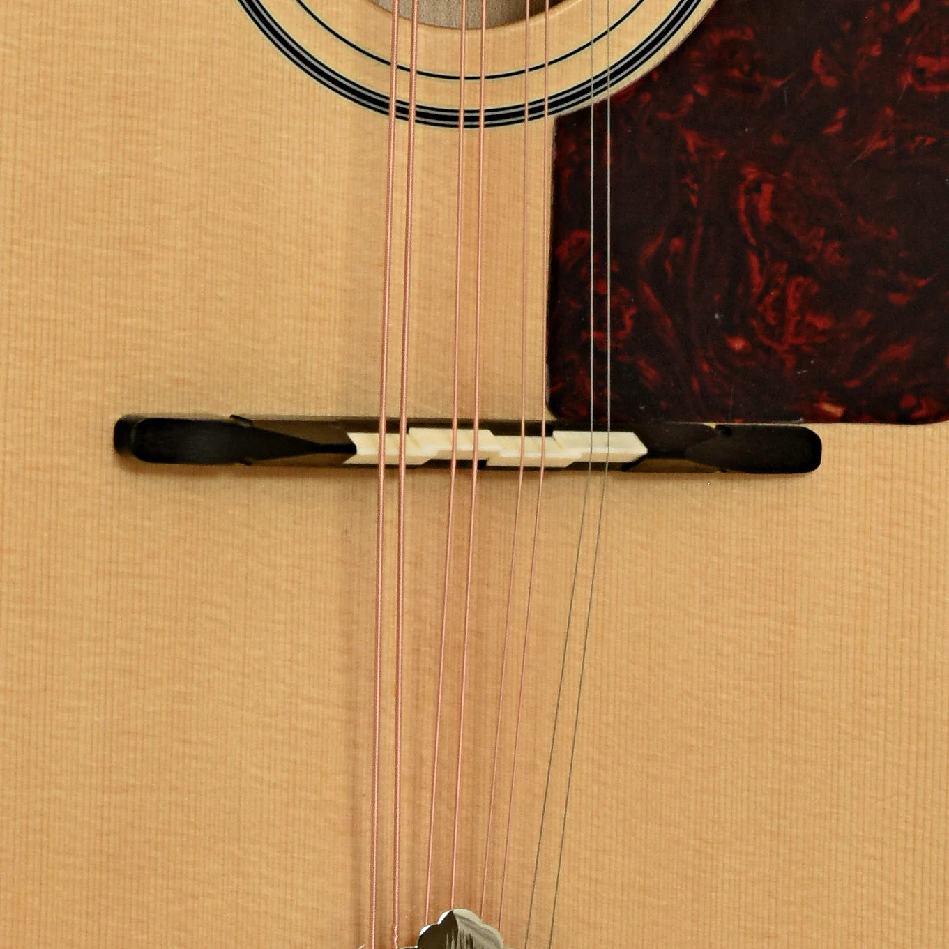 Trinity College Octave Mandolin - Image 5