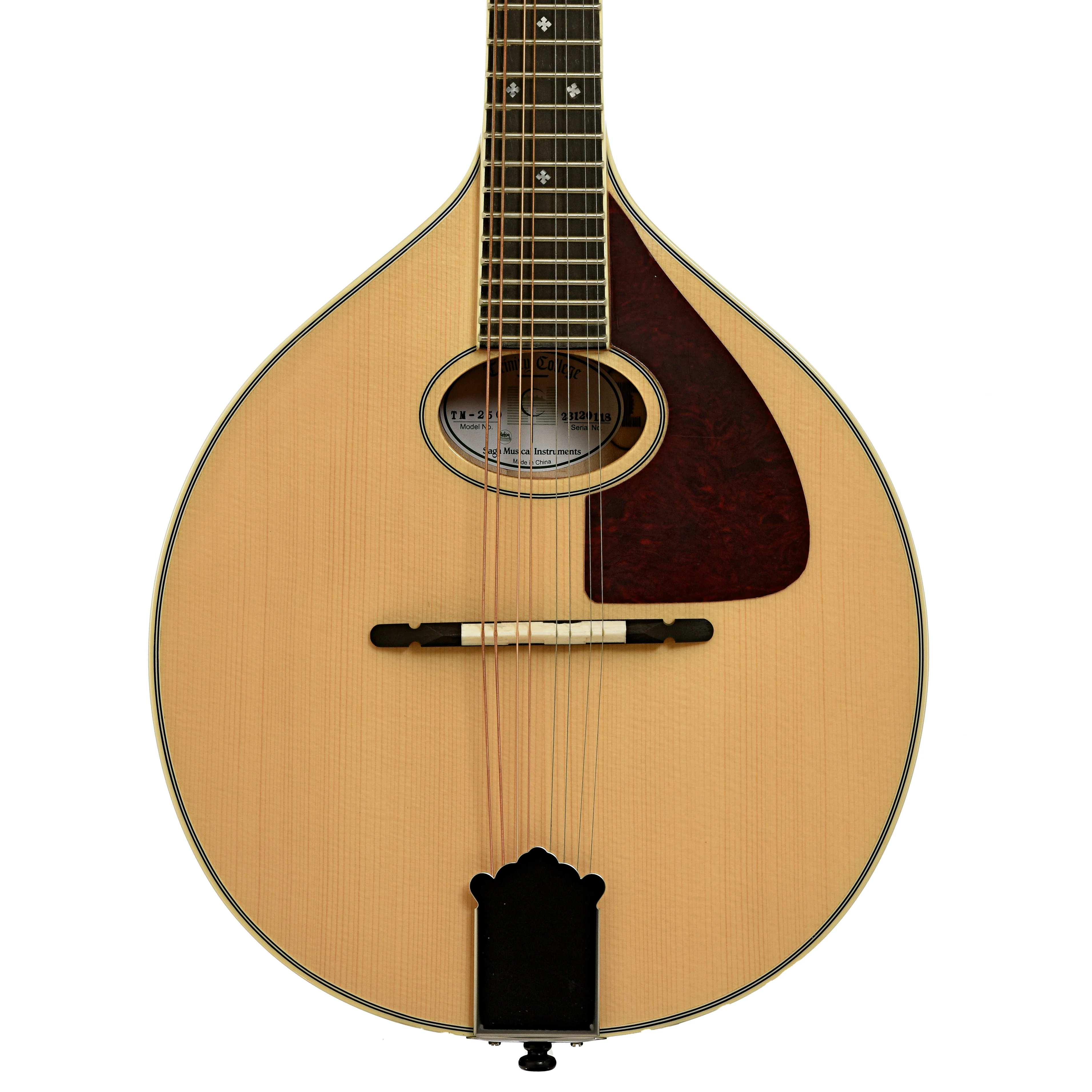 Trinity College TM-250 Celtic Mandolin - Natural Top - Image 2