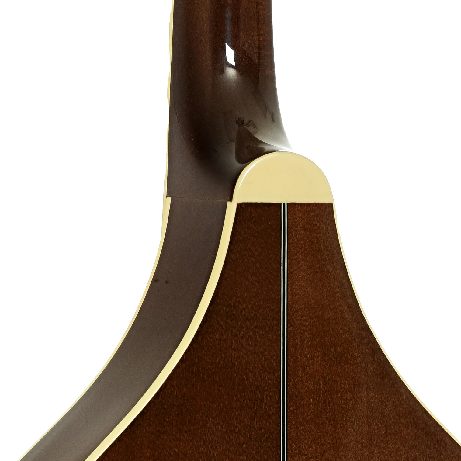 Trinity College TM-325 Octave Mandolin (2007) - Image 10