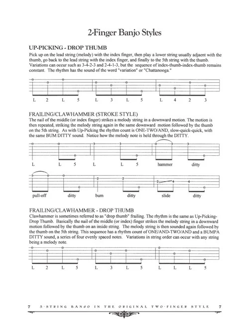Two Finger Banjo - Image 8
