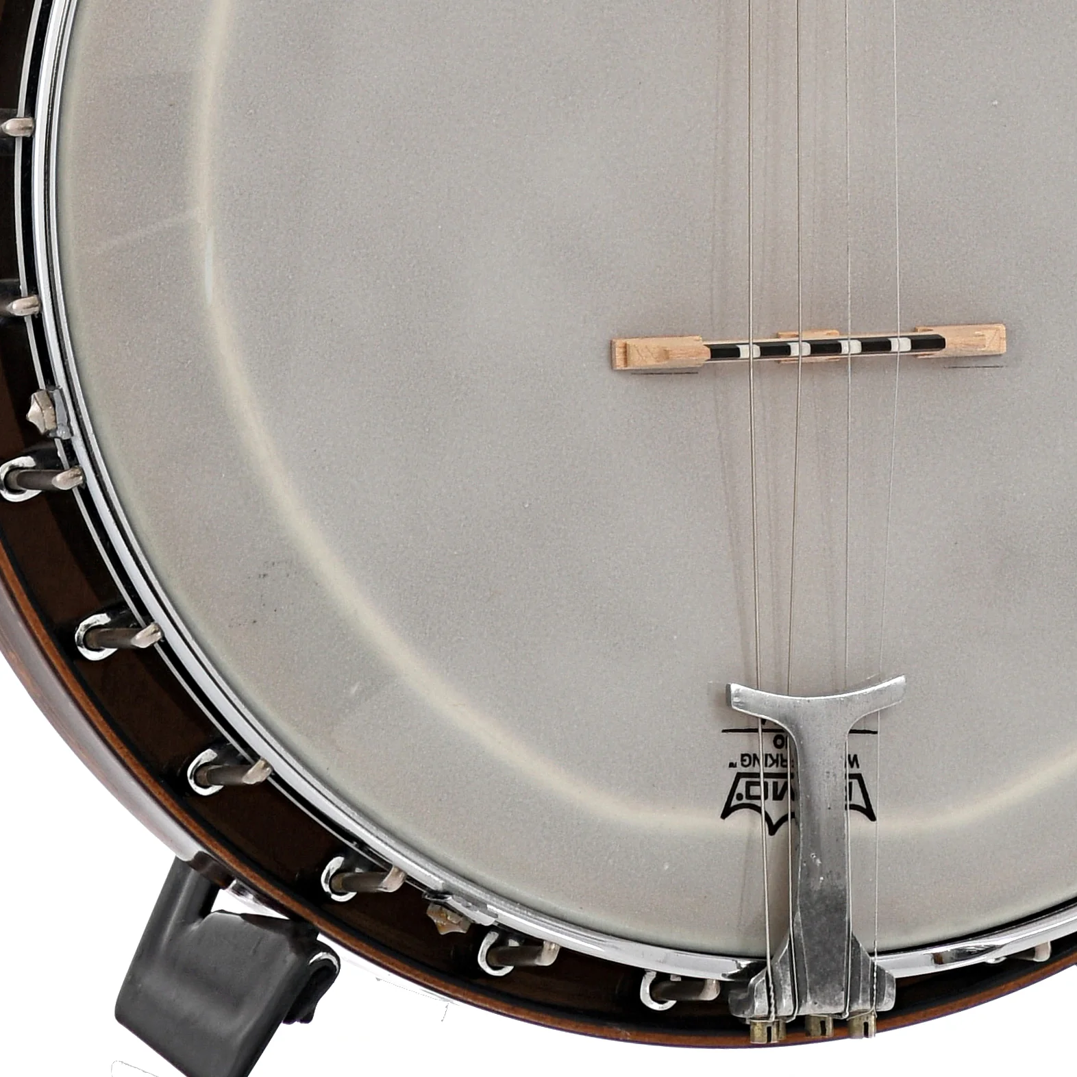 Van Eps Tenor Banjo (1920s) - Image 4