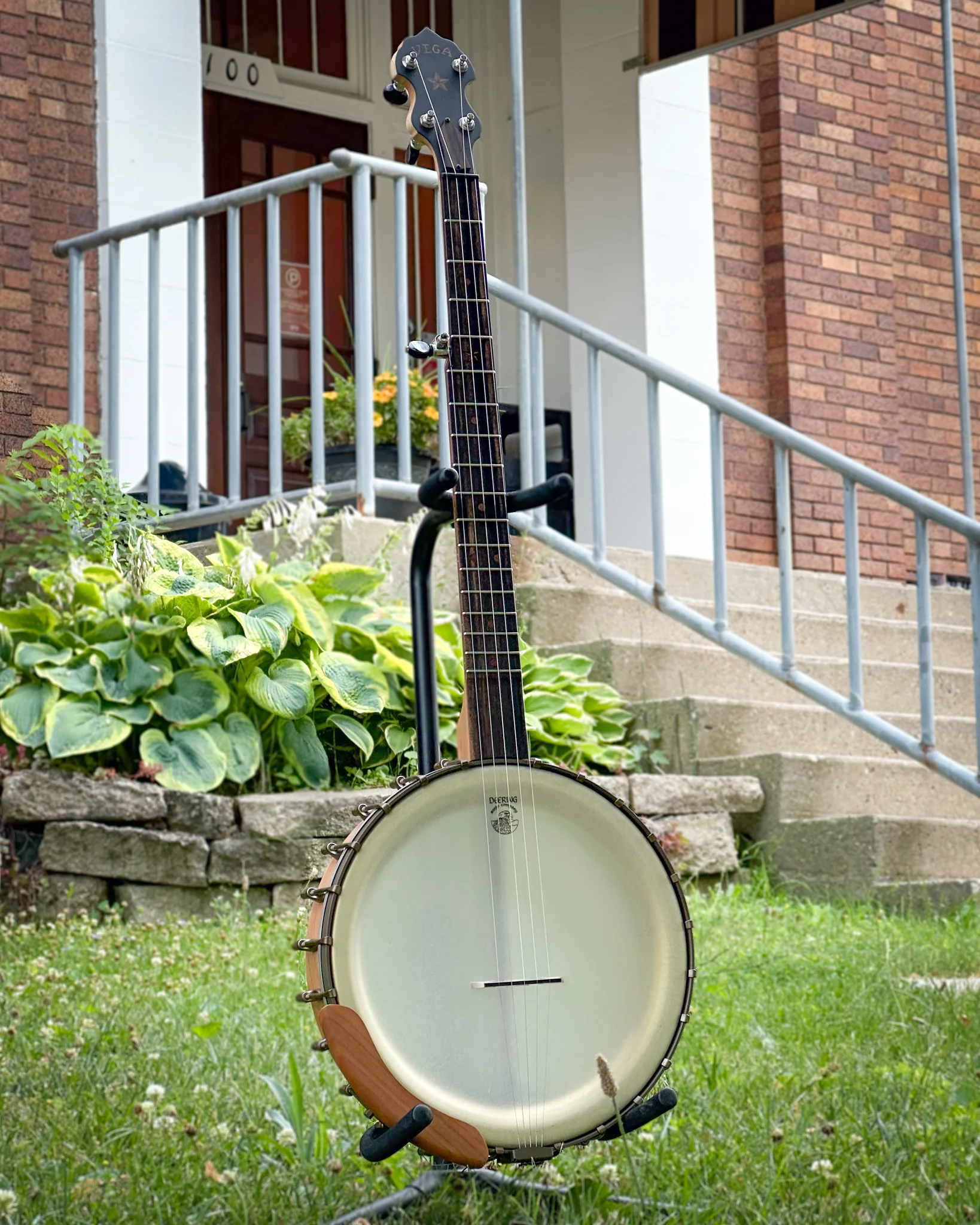 Vega Vintage Star Openback Banjo & Case, Cherry - Image 17
