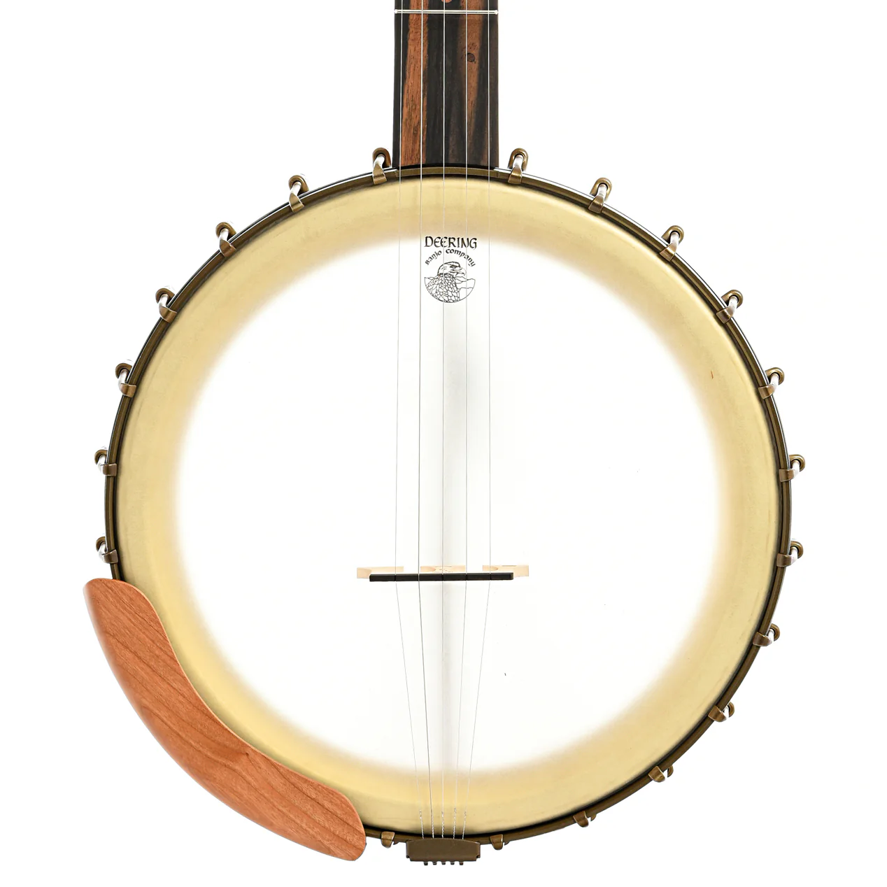 Vega Vintage Star Openback Banjo & Case, Cherry - Image 4
