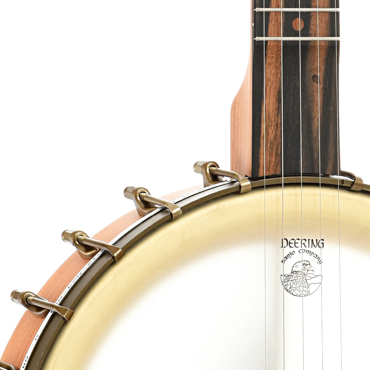 Vega Vintage Star Openback Banjo & Case, Cherry - Image 6