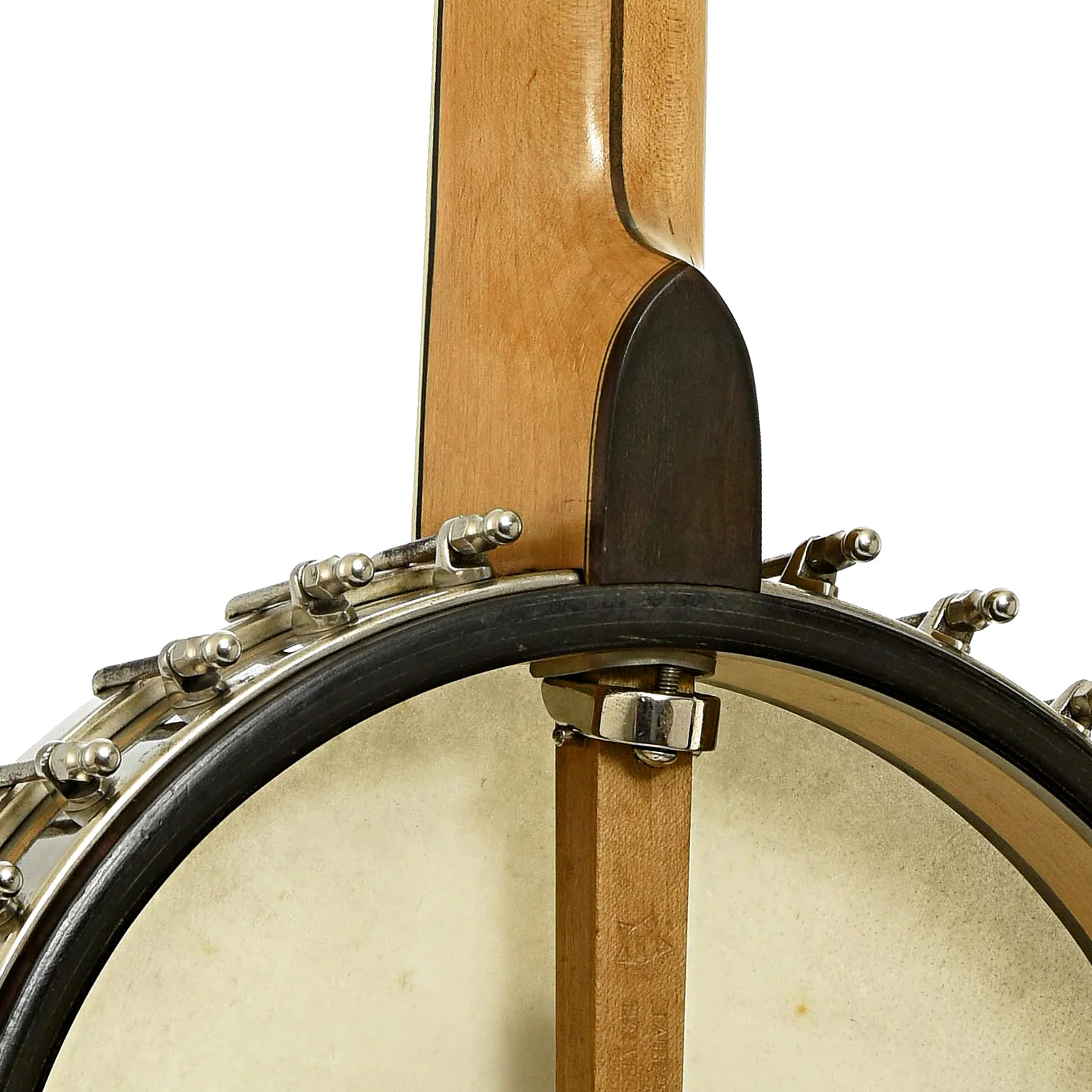 Vega Fairbanks Whyte Laydie Guitar Banjo (1921) - Image 11