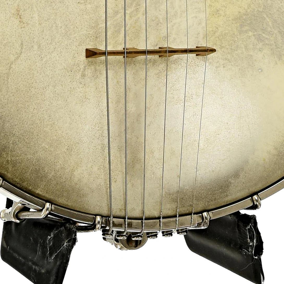 Vega Fairbanks Whyte Laydie Guitar Banjo (1921) - Image 5