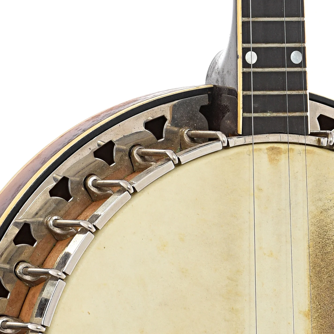 Vega Little Wonder Tenor Banjo (1953) - Image 7
