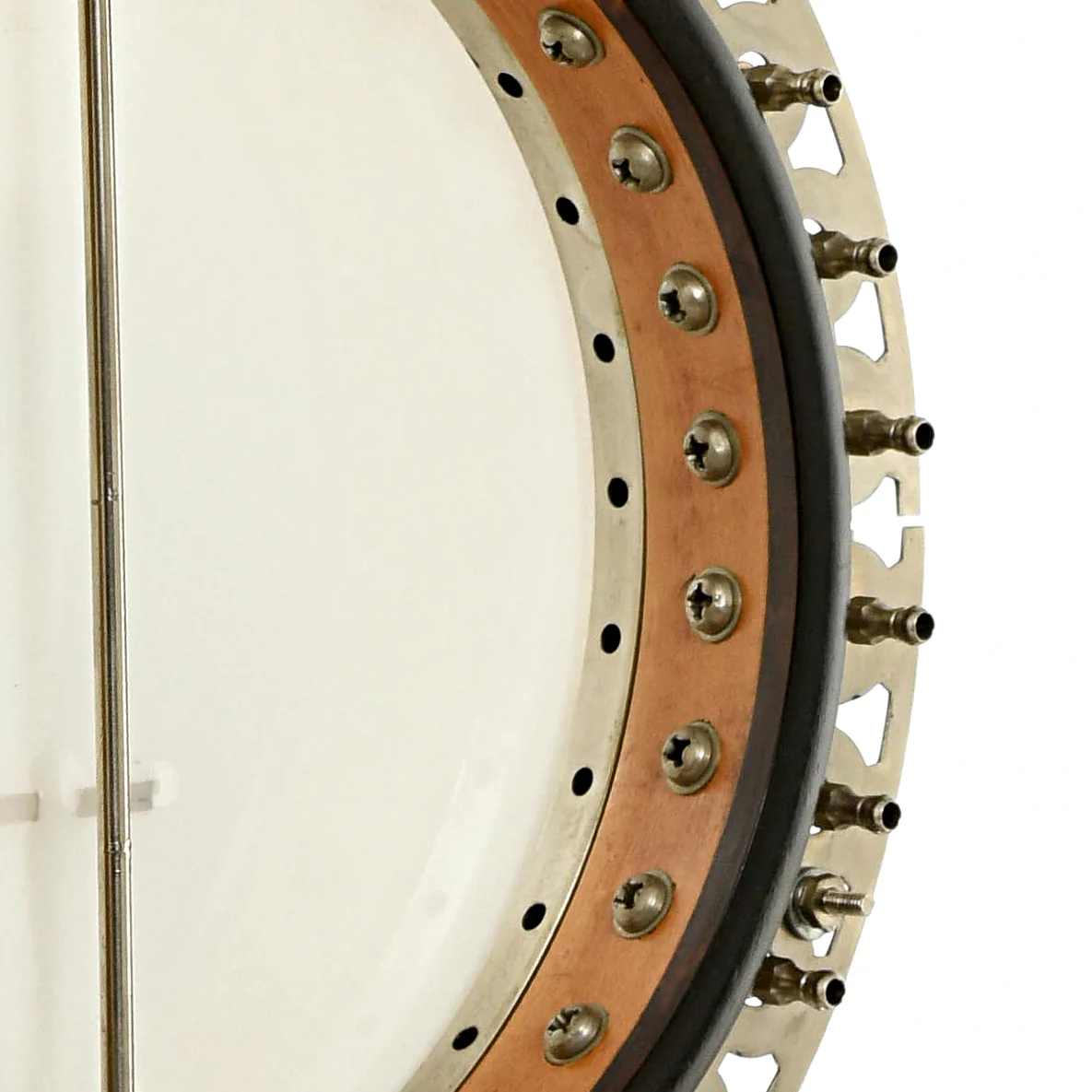 Vega Professional Plectrum Banjo (1954) - Image 11