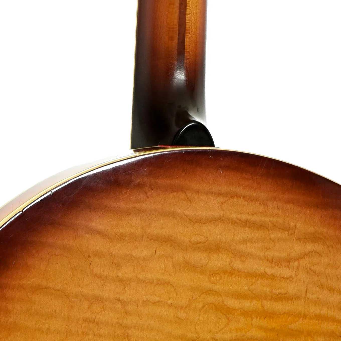 Vega Professional Plectrum Banjo (1954) - Image 12