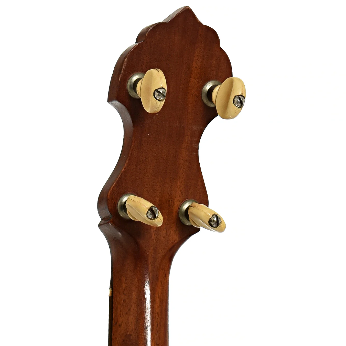 Vega Senator 5-String Banjo (1921) - Image 9