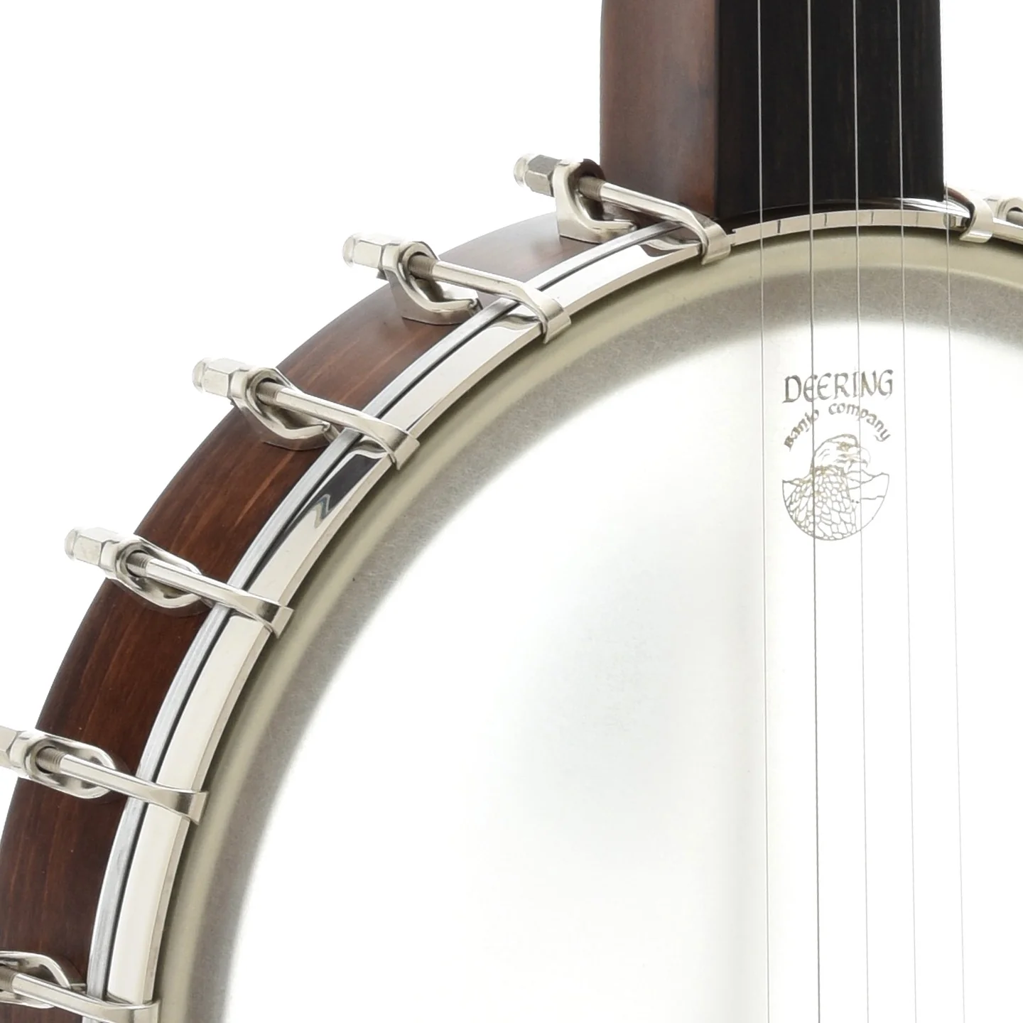 Vega Senator Scooped Openback Banjo & Case - Image 5