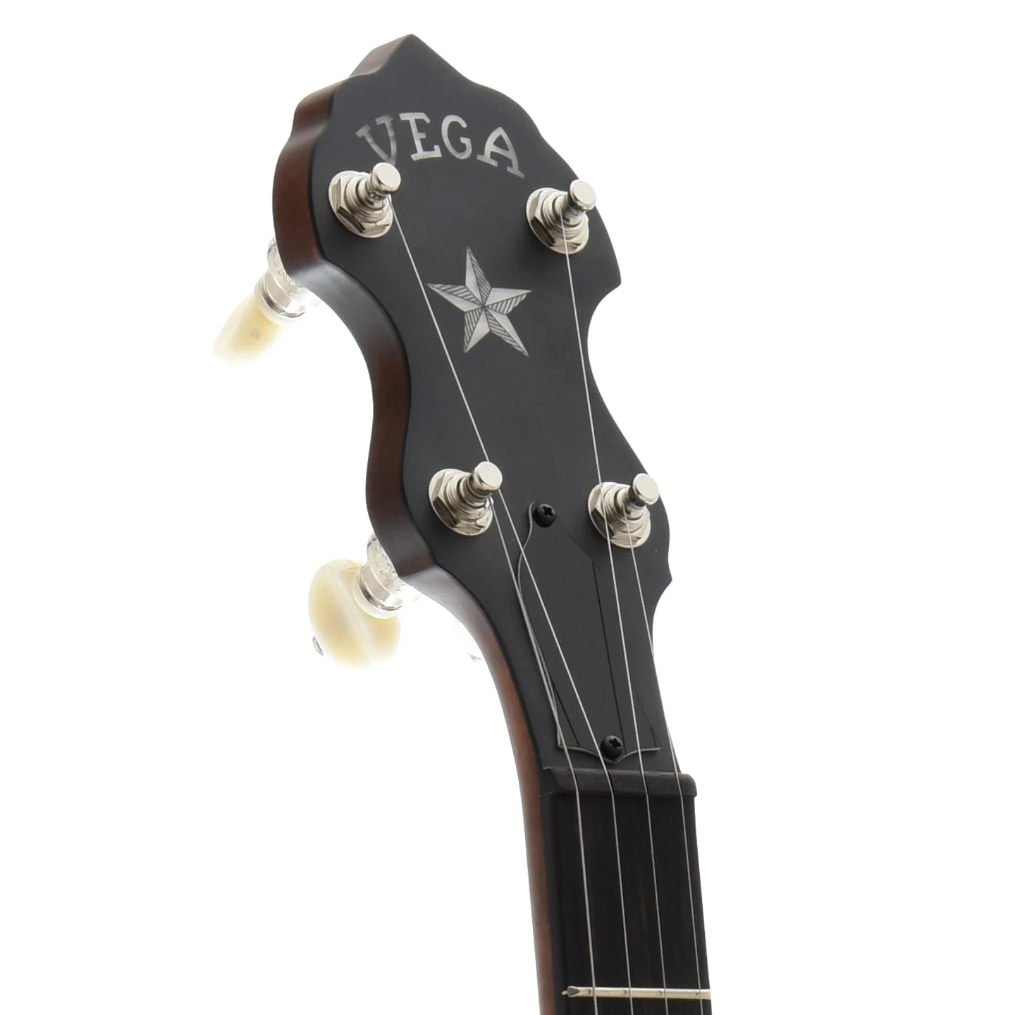 Vega Senator Scooped Openback Banjo & Case - Image 6