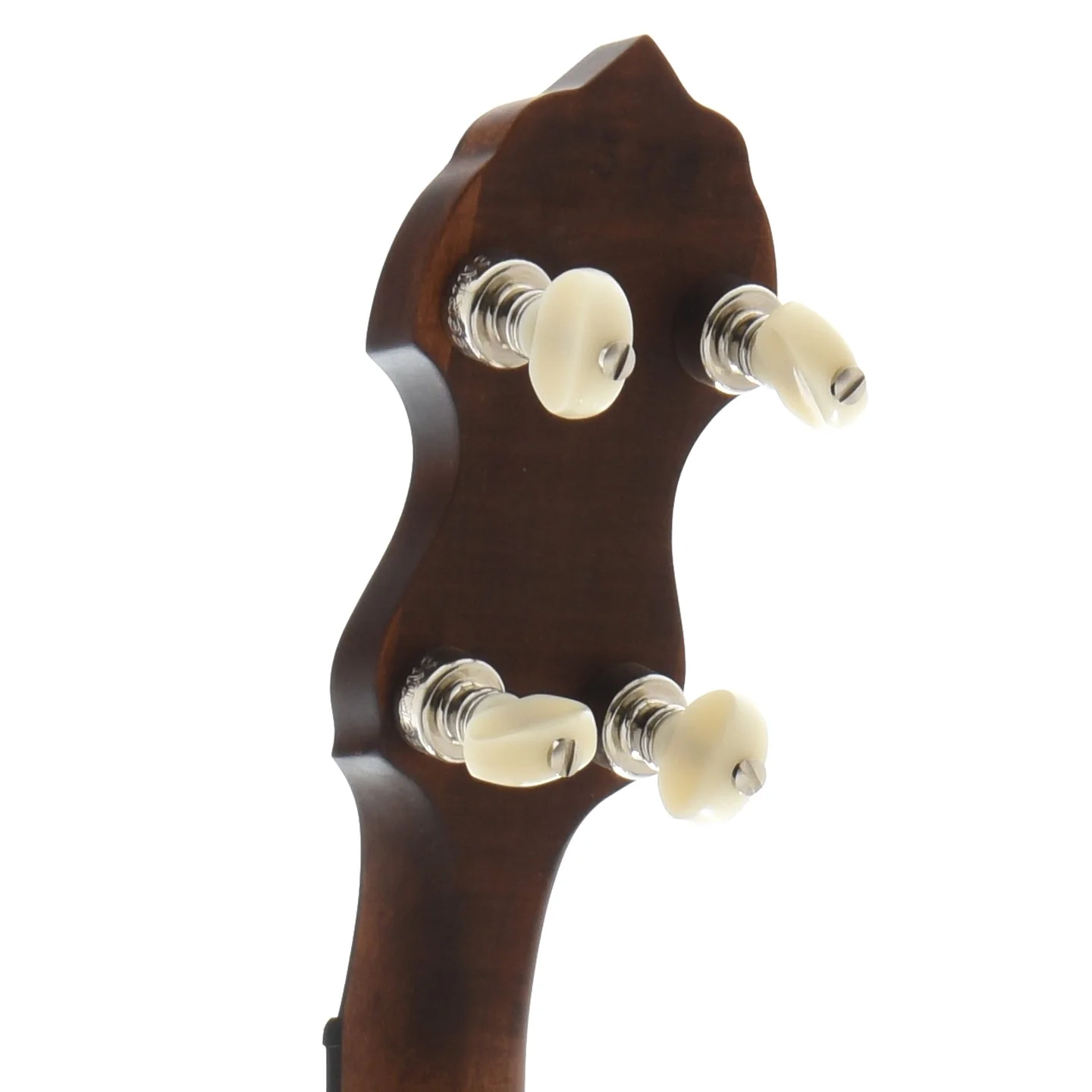 Vega Senator Scooped Openback Banjo & Case - Image 7