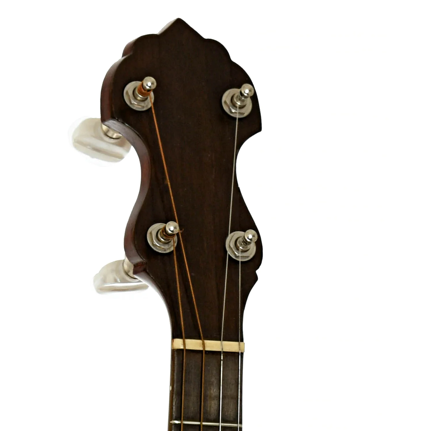 Vega Style N Tenor Banjo (1924) - Image 8