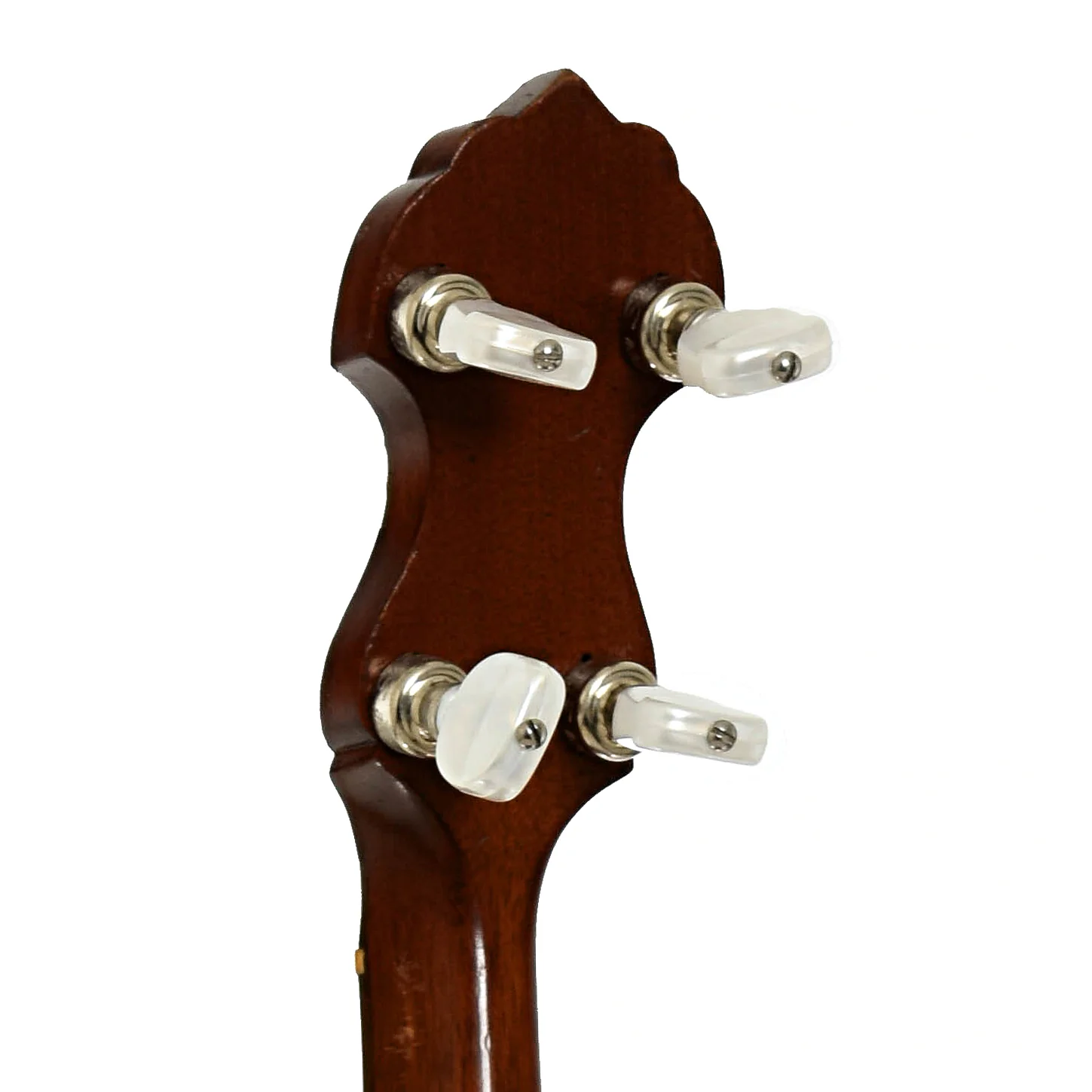 Vega Style N Tenor Banjo (1924) - Image 9