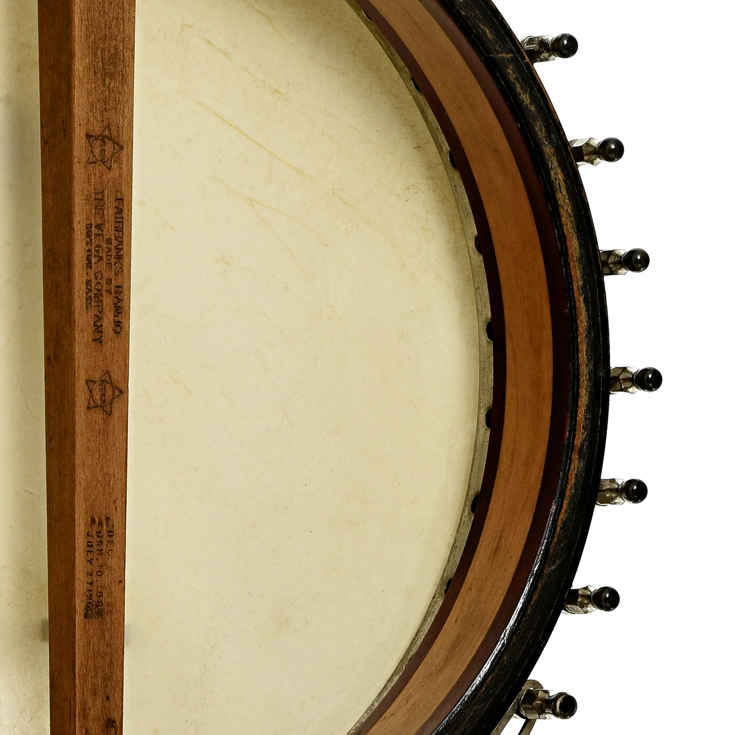 Vega Tubaphone Banjo-Guitar (1922) - Image 10