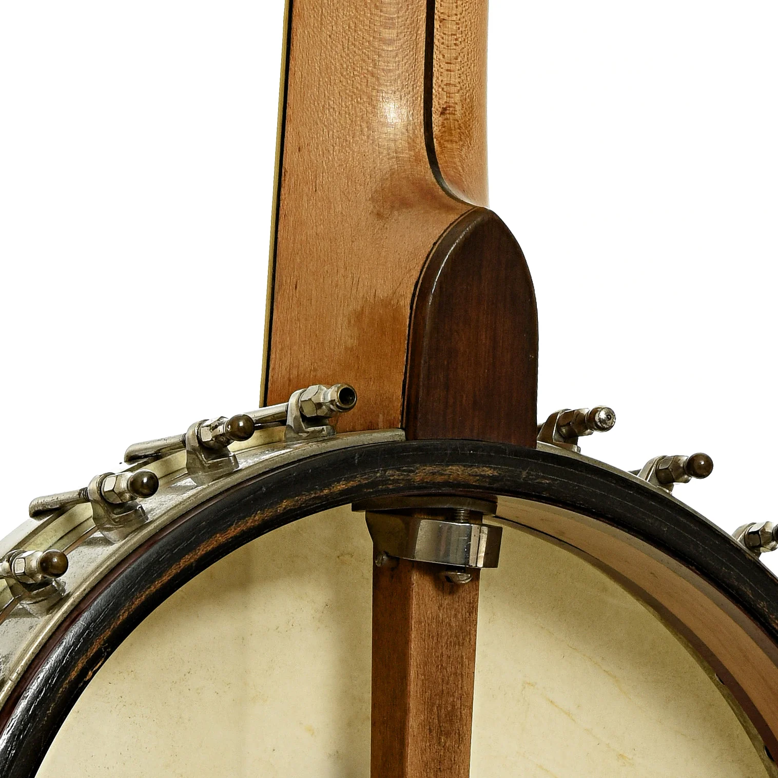 Vega Tubaphone Banjo-Guitar (1922) - Image 11